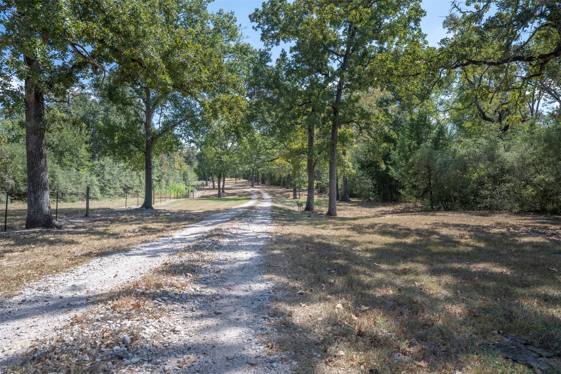 5960 Schoenau Road Property Photo 45