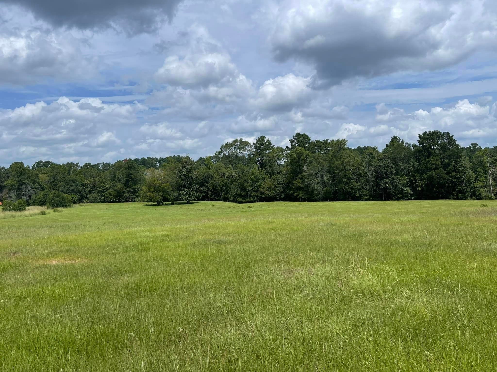 Tbd Lakeland Ranch Lot 267 Property Photo 1