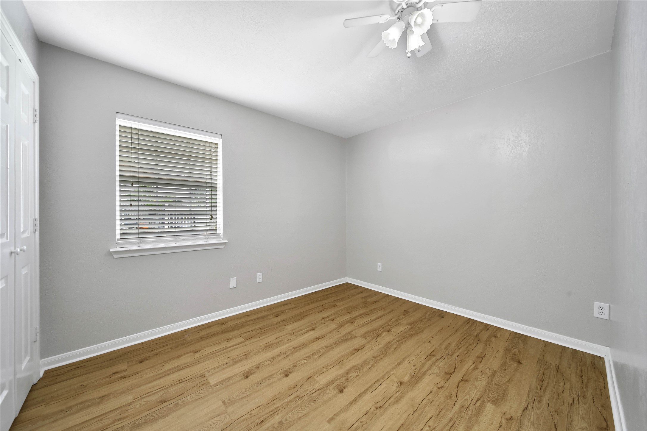 307 Lawrence Street Property Photo 20