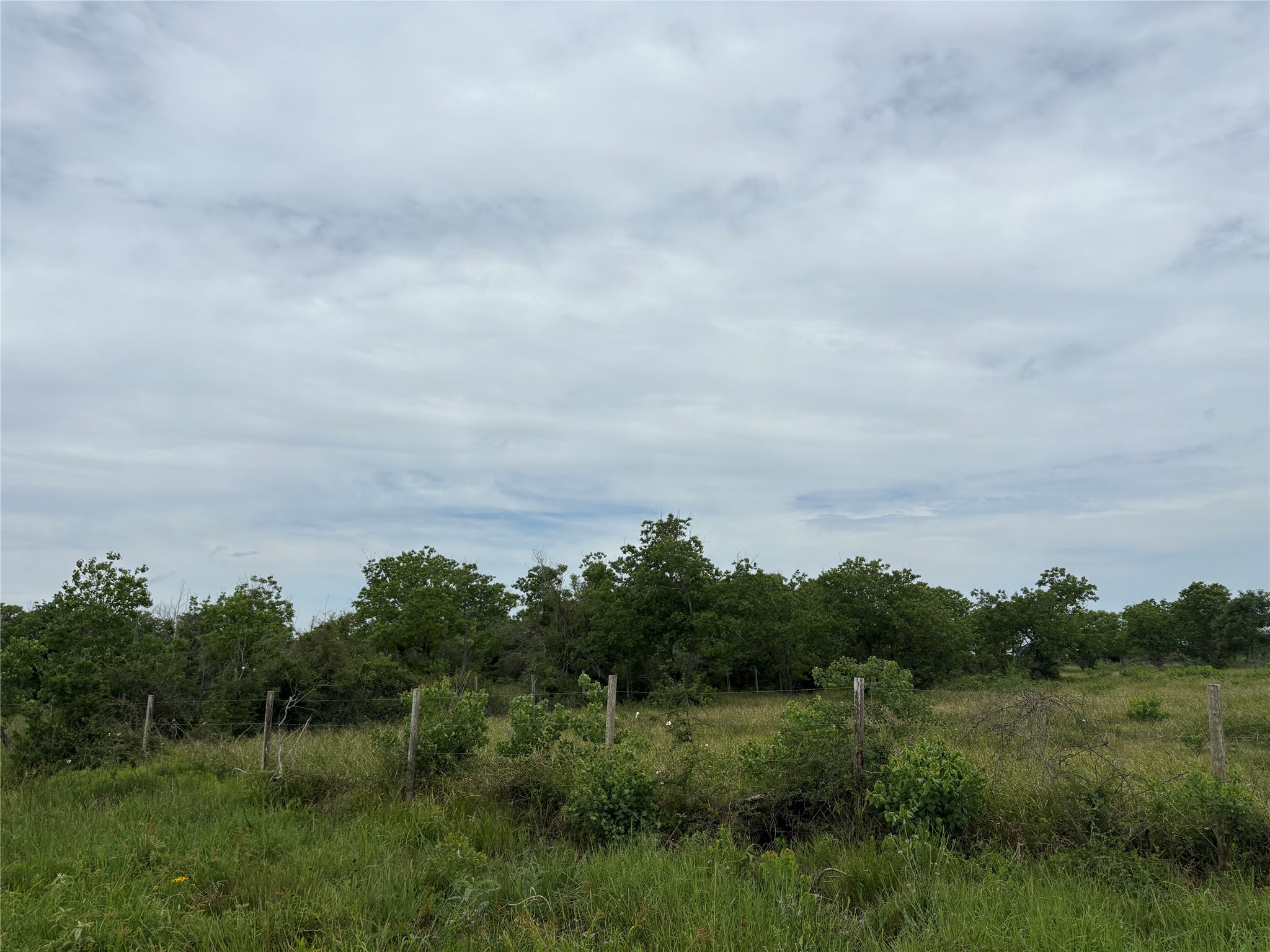 Tbd Brumbelow Road Property Photo 3