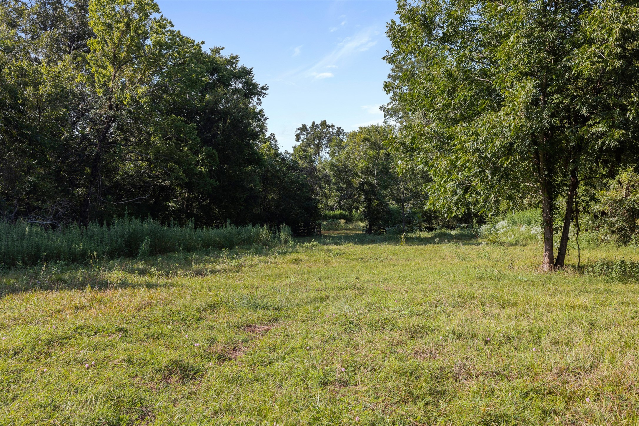 1007 Evans Road Property Photo 12