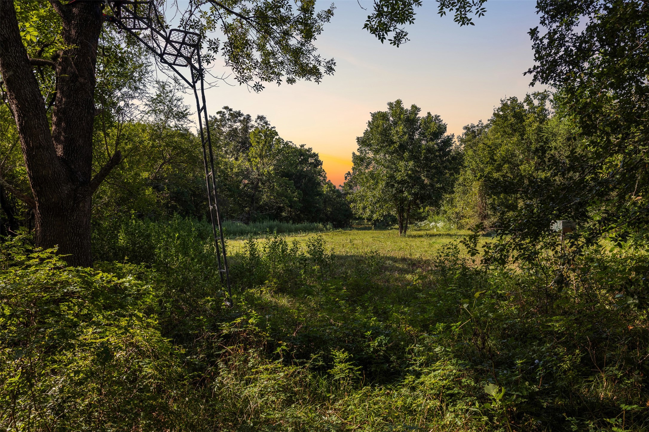 1007 Evans Road Property Photo 14