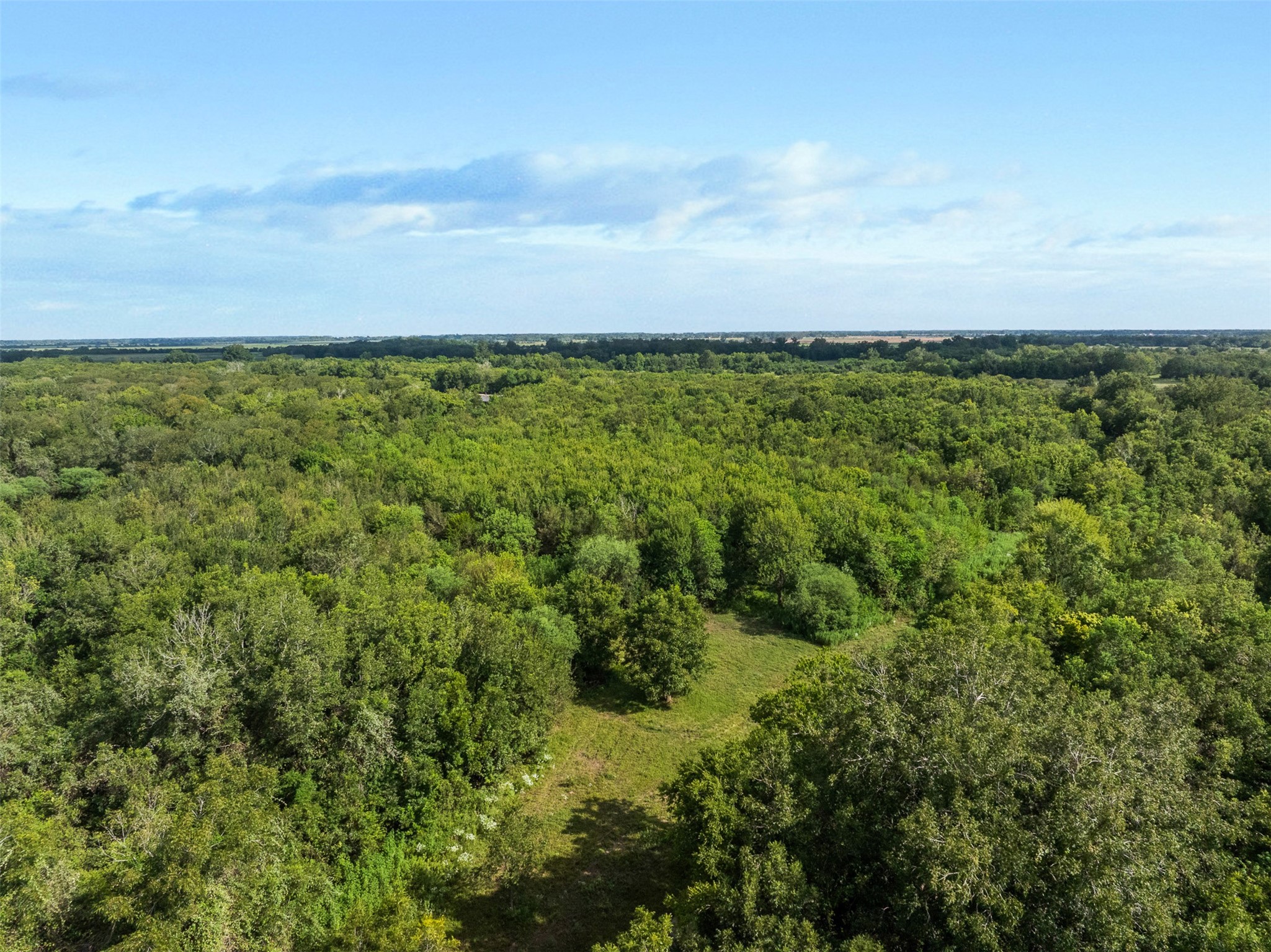 1007 Evans Road Property Photo 15