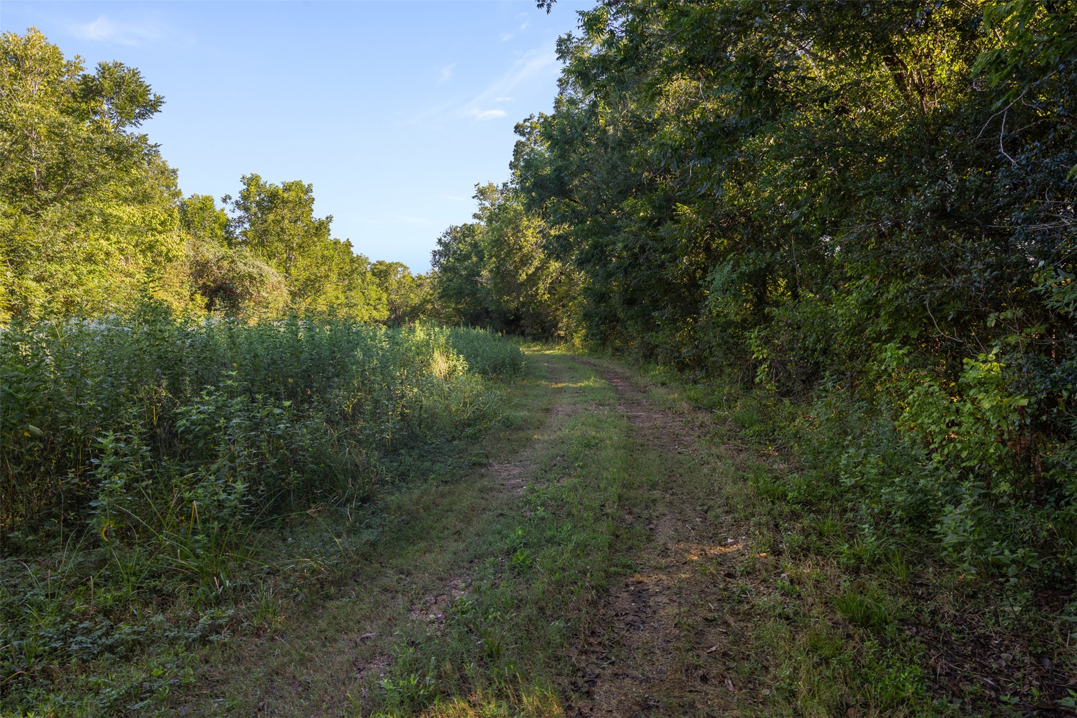 1007 Evans Road Property Photo 19