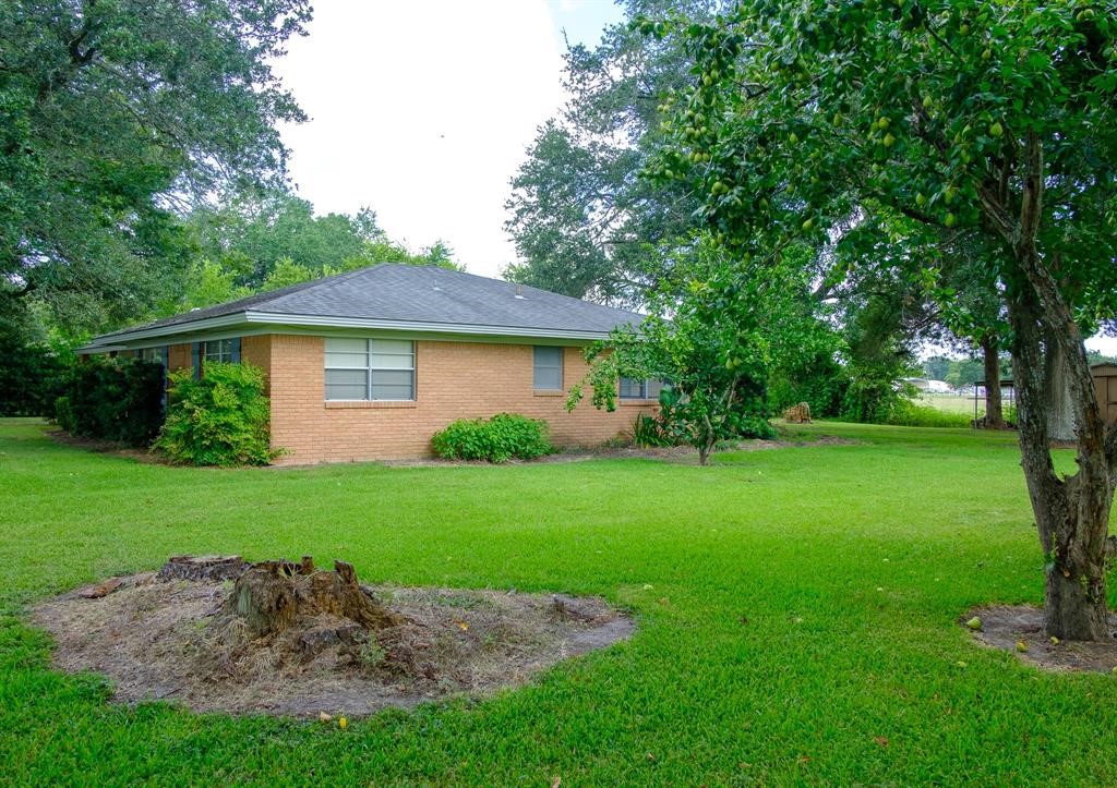 9231 Kostelnik Street Property Photo 4