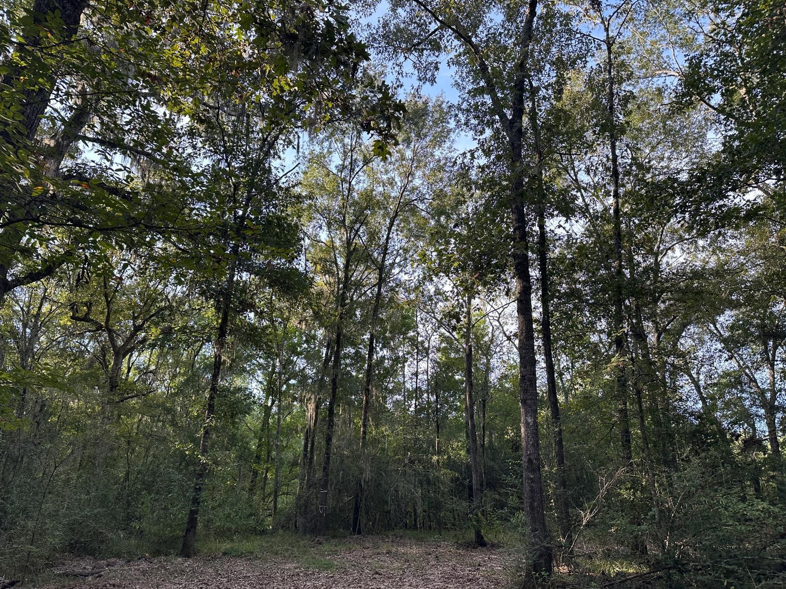0 Buck Creek Drive Property Photo 1