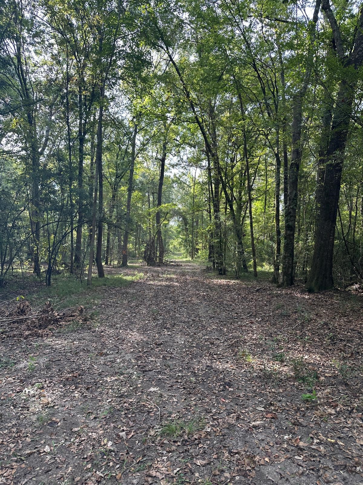 0 Buck Creek Drive Property Photo 3