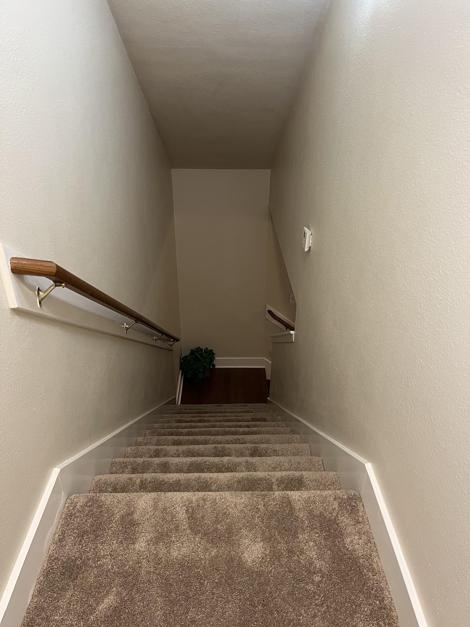 26877 Haileys Manor Property Photo 25