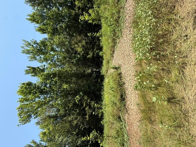 Tbd Sunshine Acres Property Photo 5