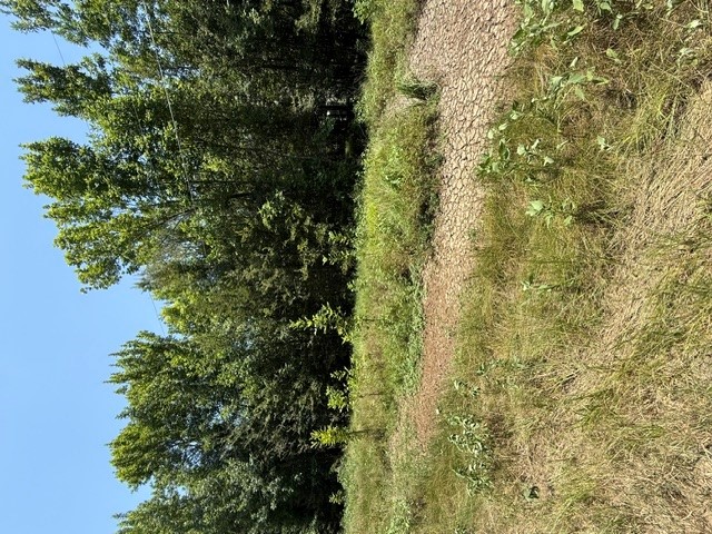 Tbd Sunshine Acres Property Photo 6