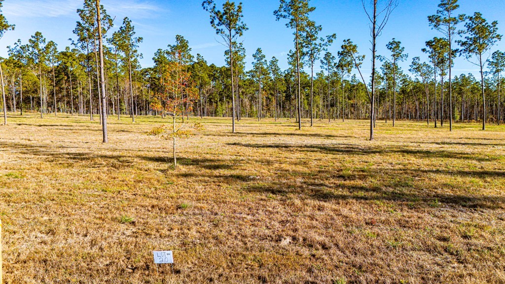 Lot 20 Big Buck Drive Property Photo 3