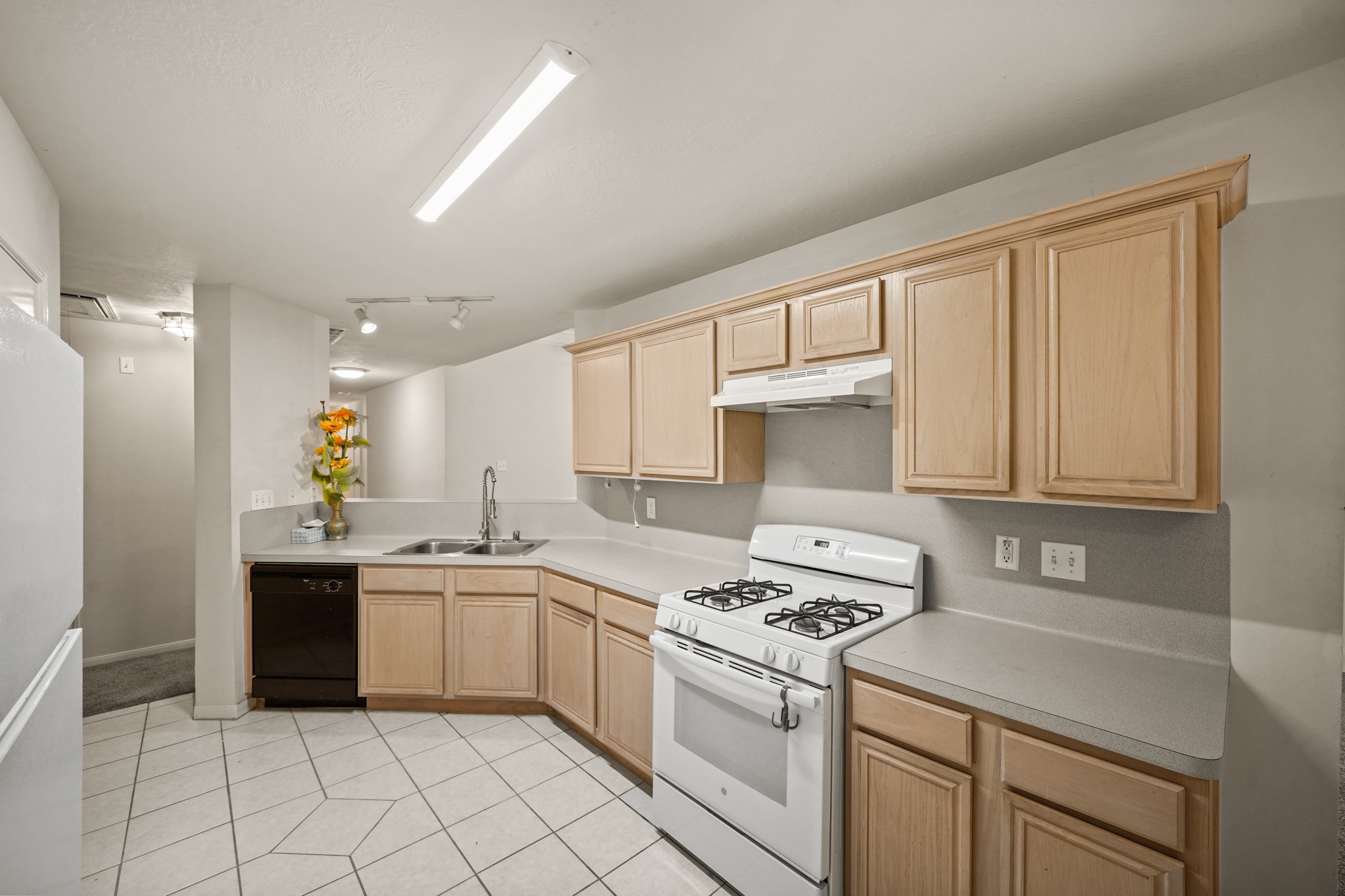 19322 Cactus Rose Drive Property Photo 23
