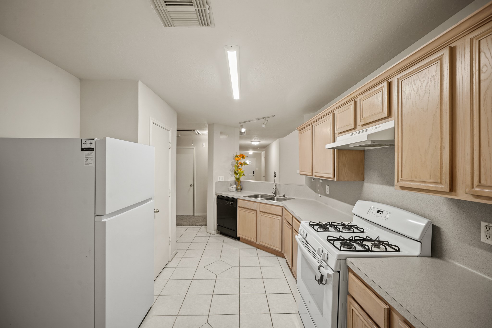 19322 Cactus Rose Drive Property Photo 24
