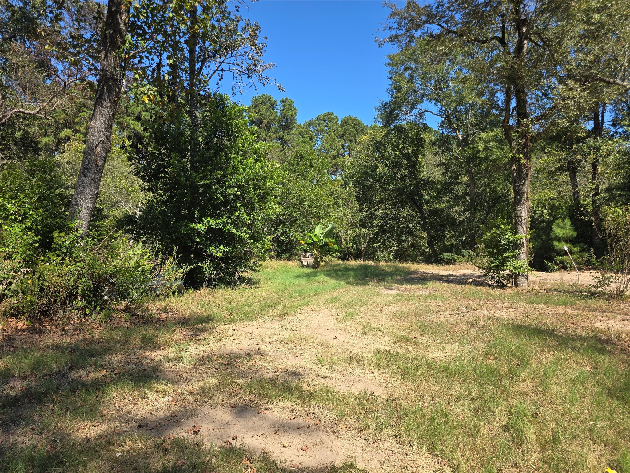 22017 Pinebrook Drive Property Photo 5