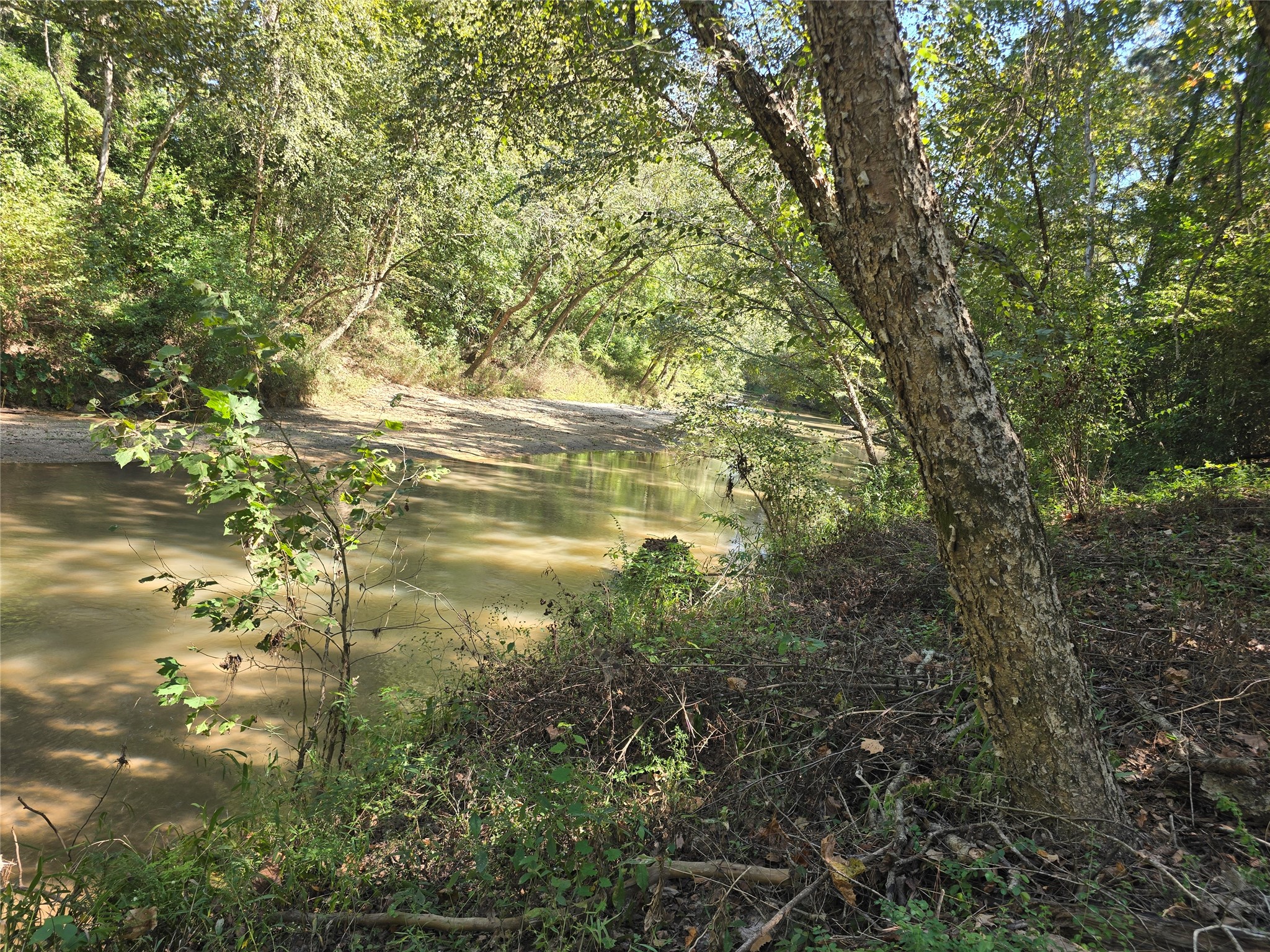 22017 Pinebrook Drive Property Photo 6