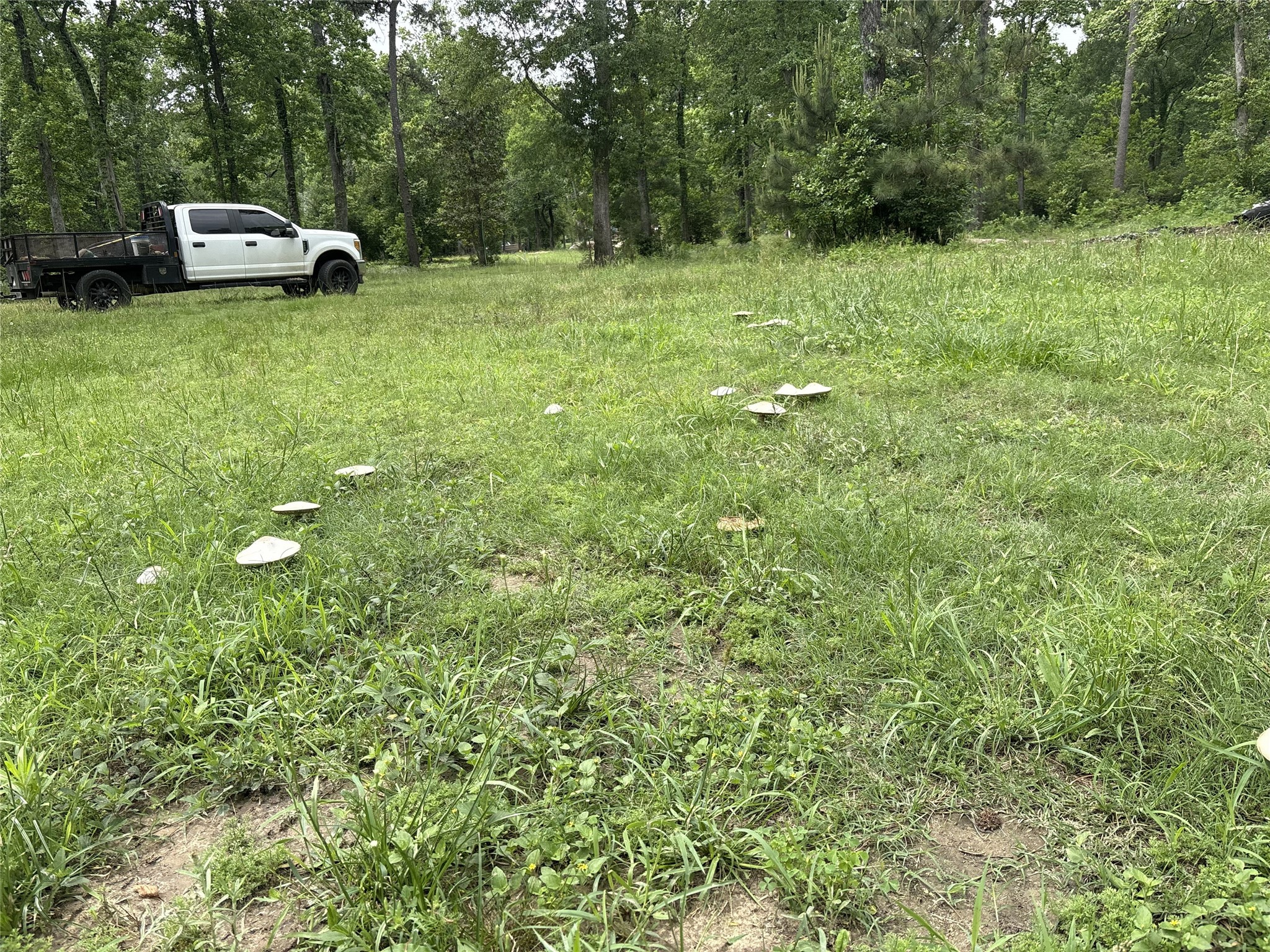 22017 Pinebrook Drive Property Photo 7