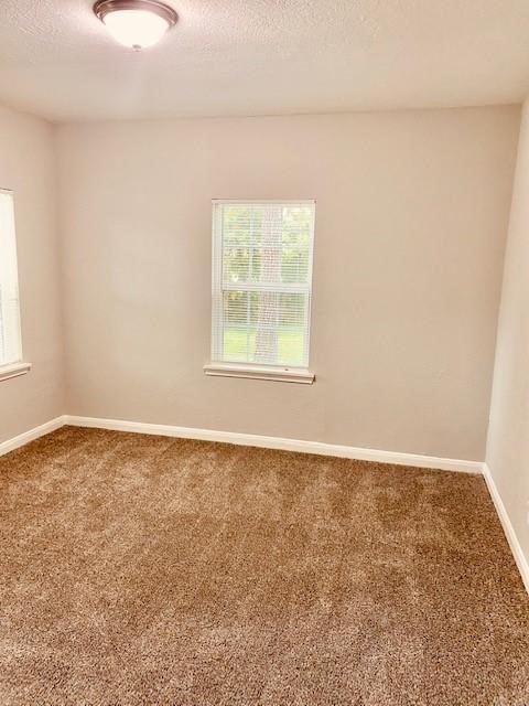 942 Oakstone Street Property Photo 10