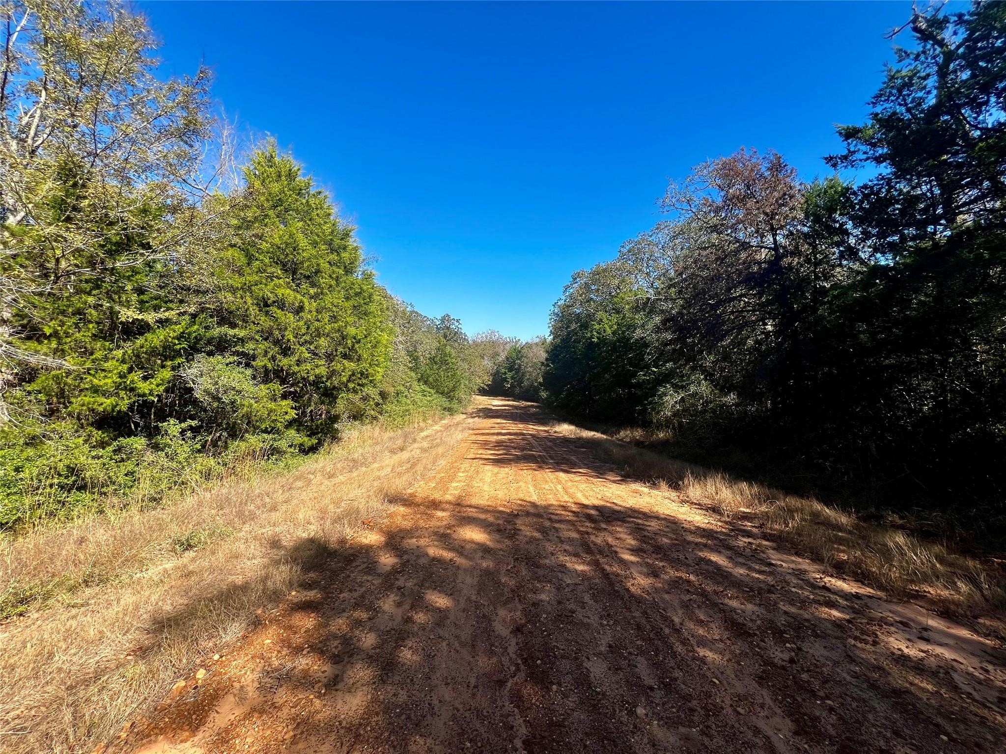 Tbd Mockingbird Property Photo 1