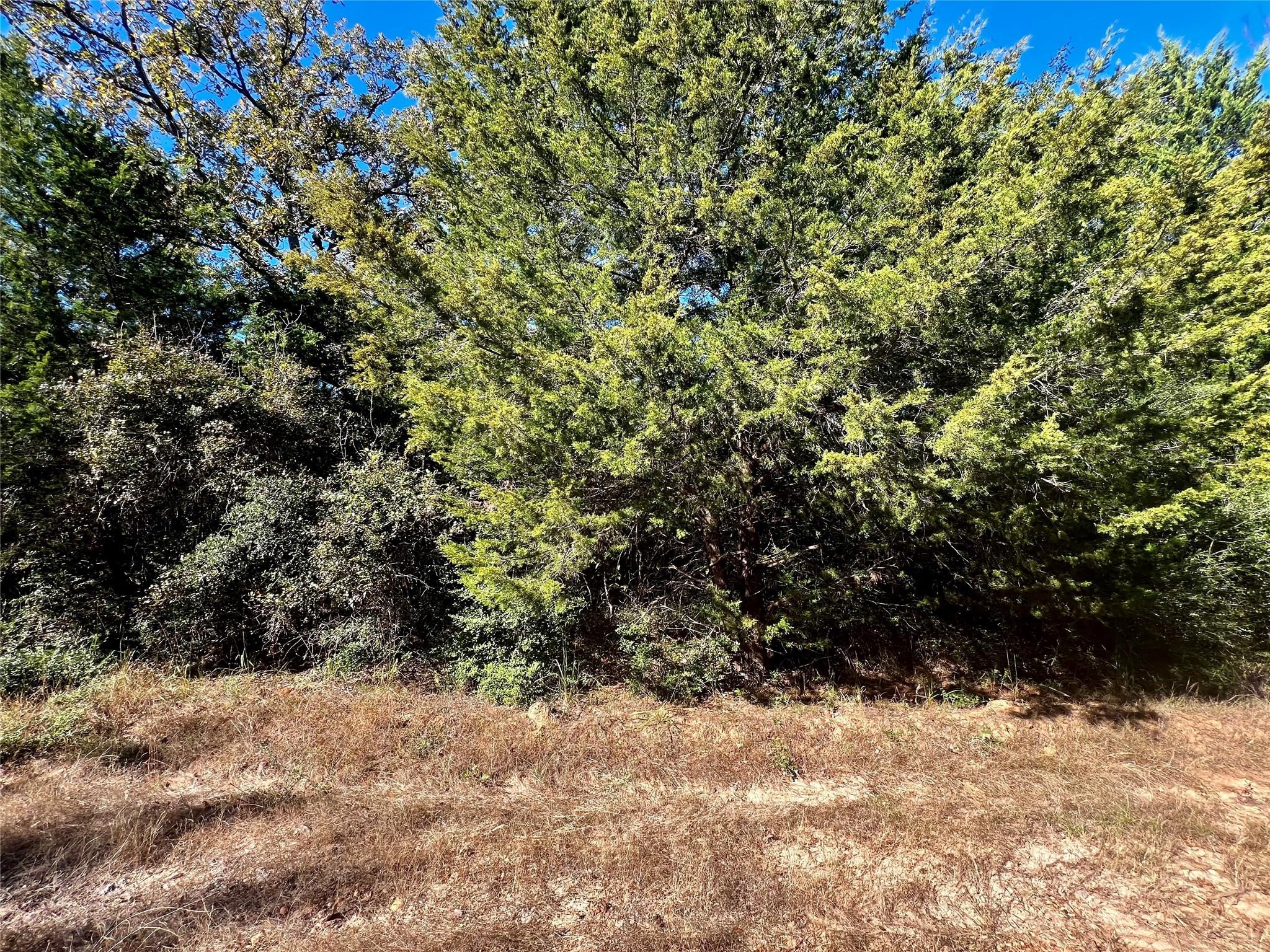 Tbd Mockingbird Property Photo 2