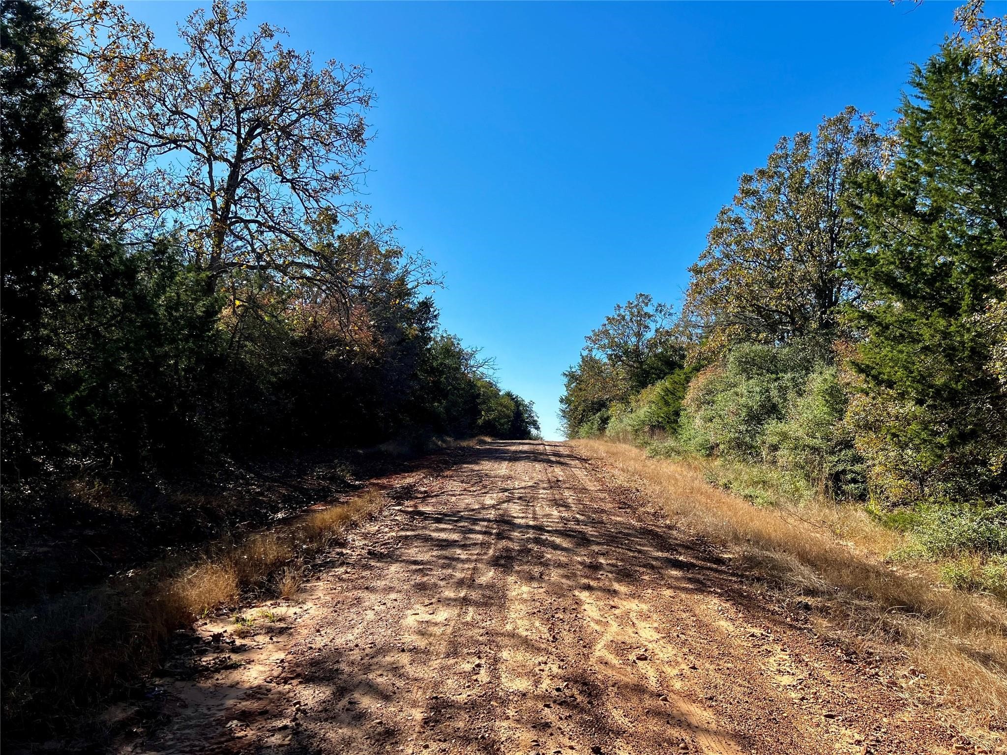 Tbd Mockingbird Property Photo 3
