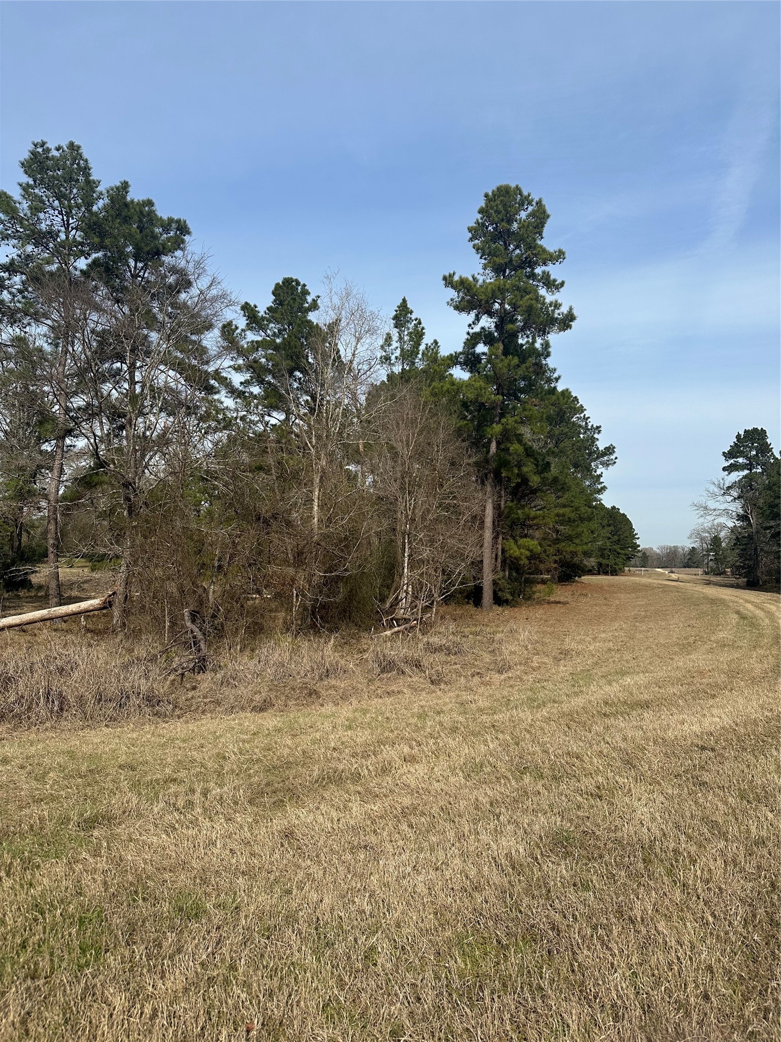 Tbd Cresent Farm Lane Property Photo 7