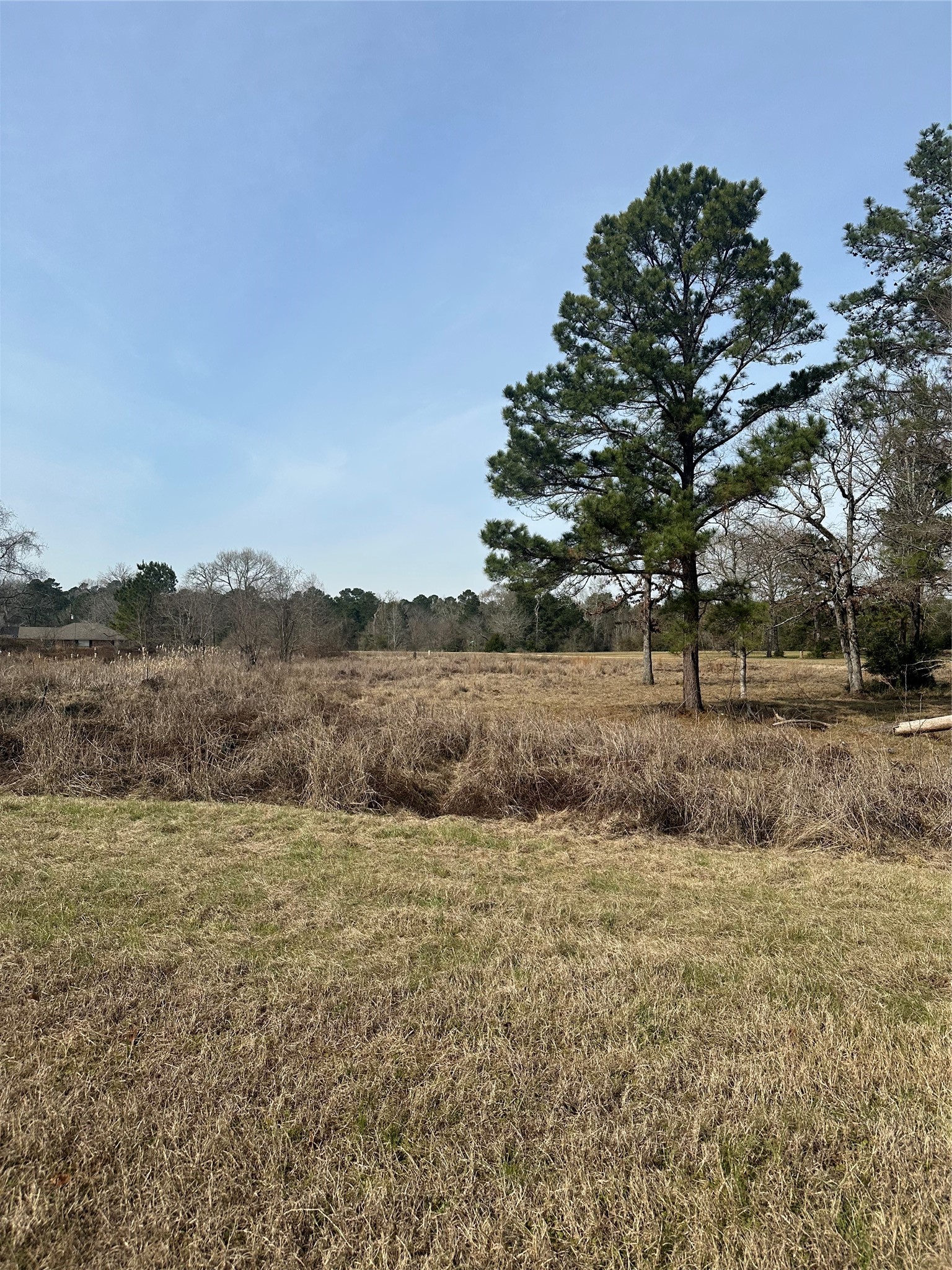 Tbd Cresent Farm Lane Property Photo 8