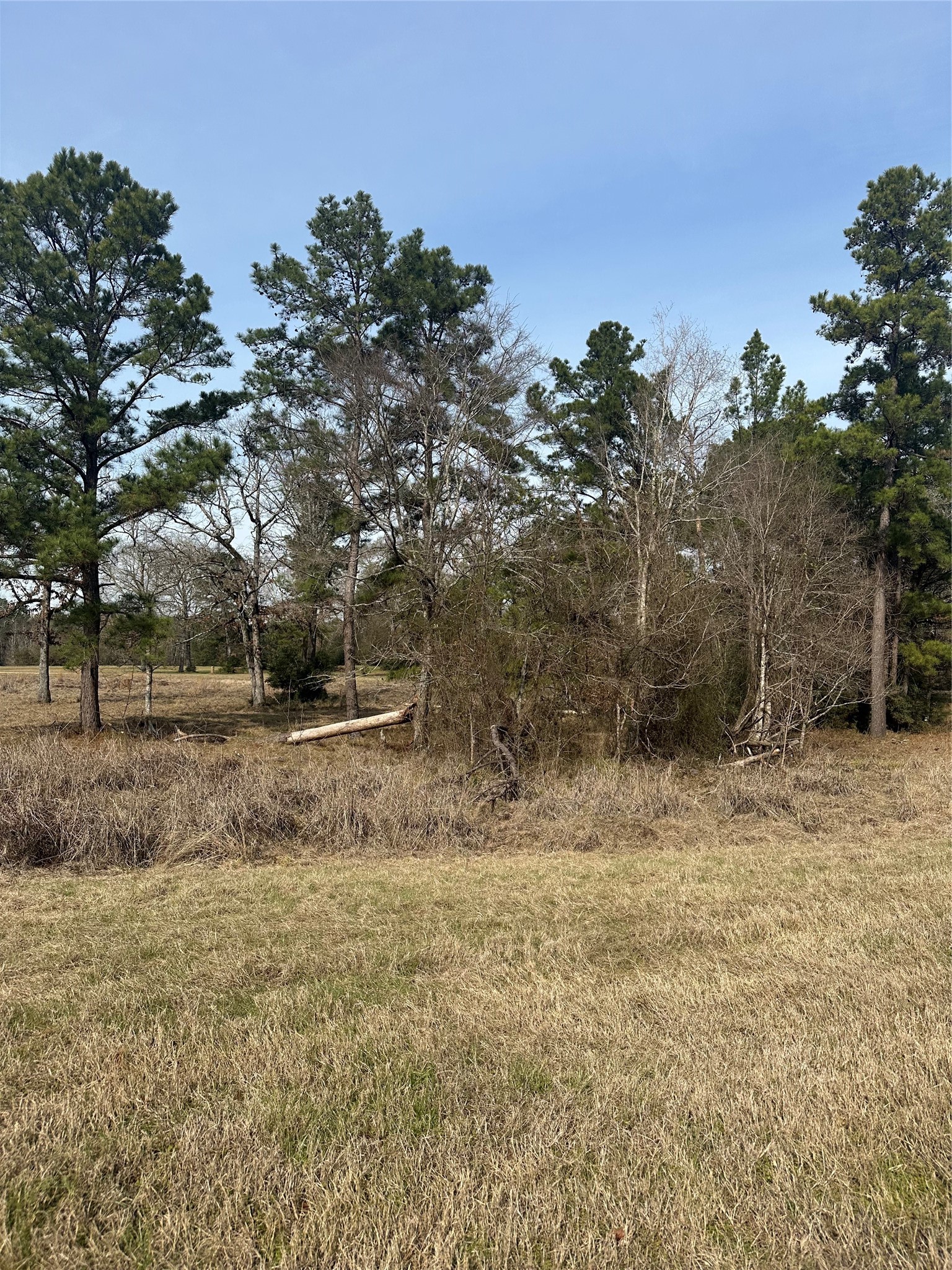 Tbd Cresent Farm Lane Property Photo 9