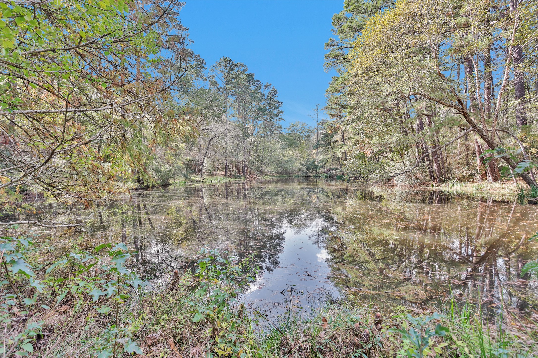 7415 Honea Egypt Property Photo 1