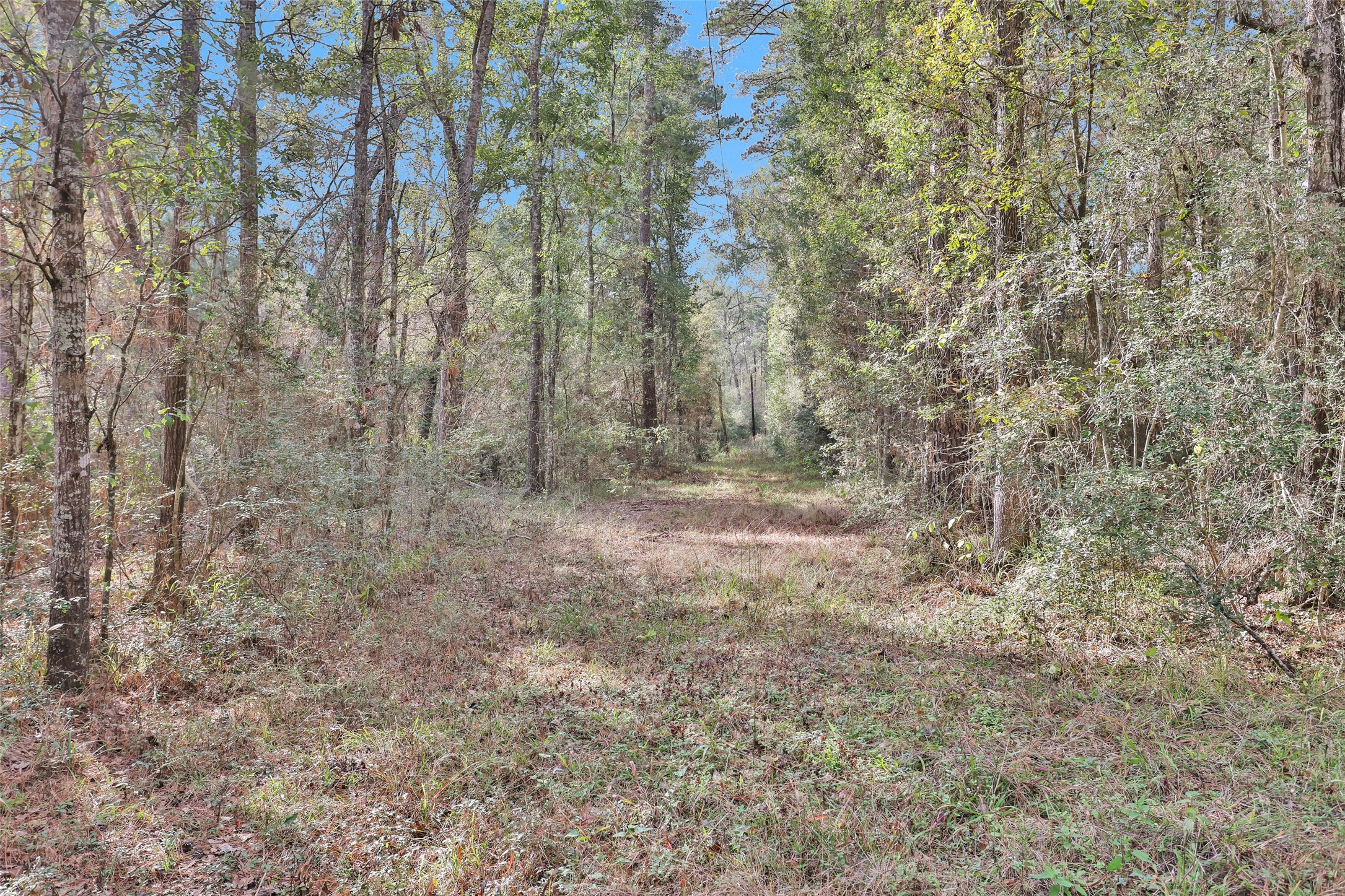 7415 Honea Egypt Property Photo 5