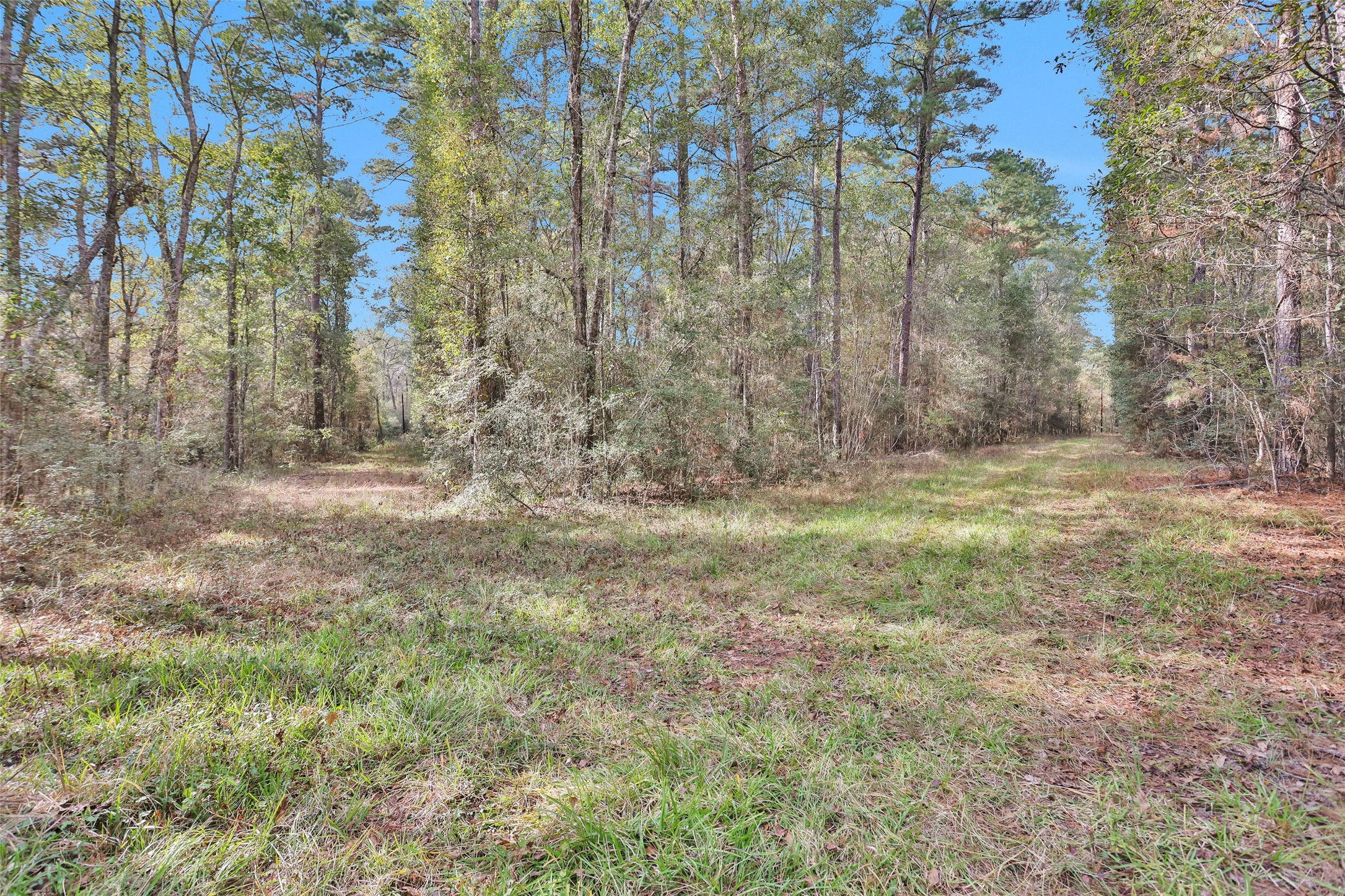 7415 Honea Egypt Property Photo 6