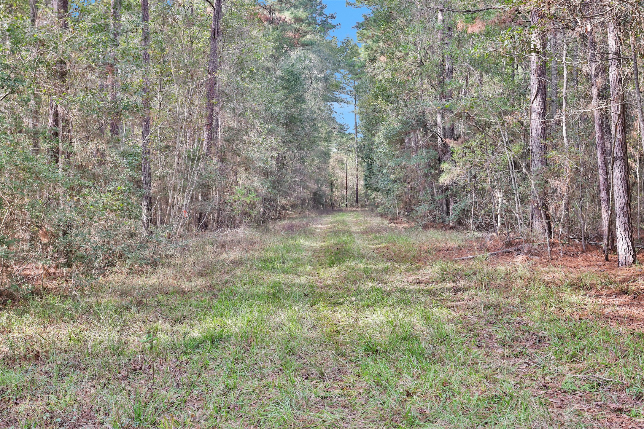 7415 Honea Egypt Property Photo 7