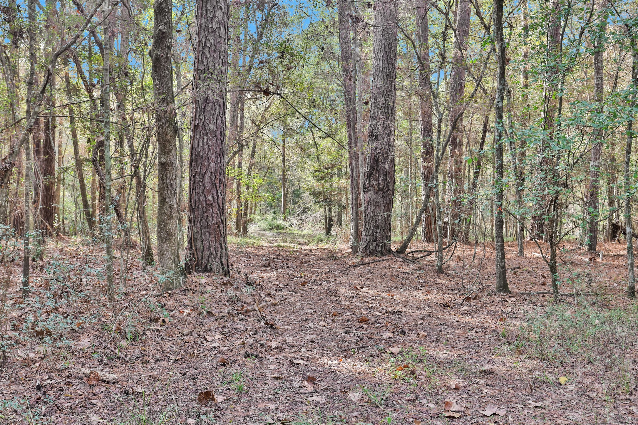 7415 Honea Egypt Property Photo 8