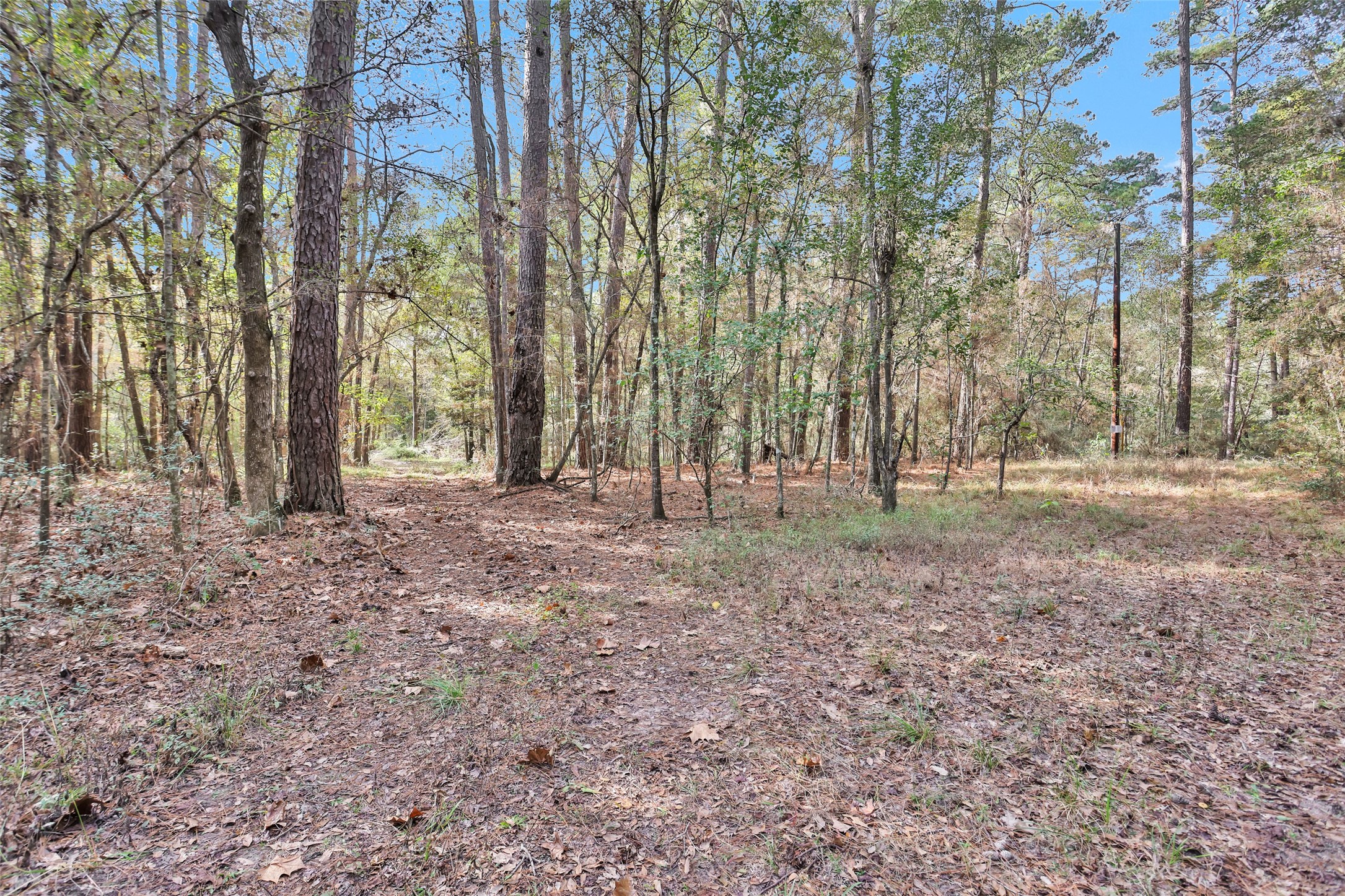 7415 Honea Egypt Property Photo 9