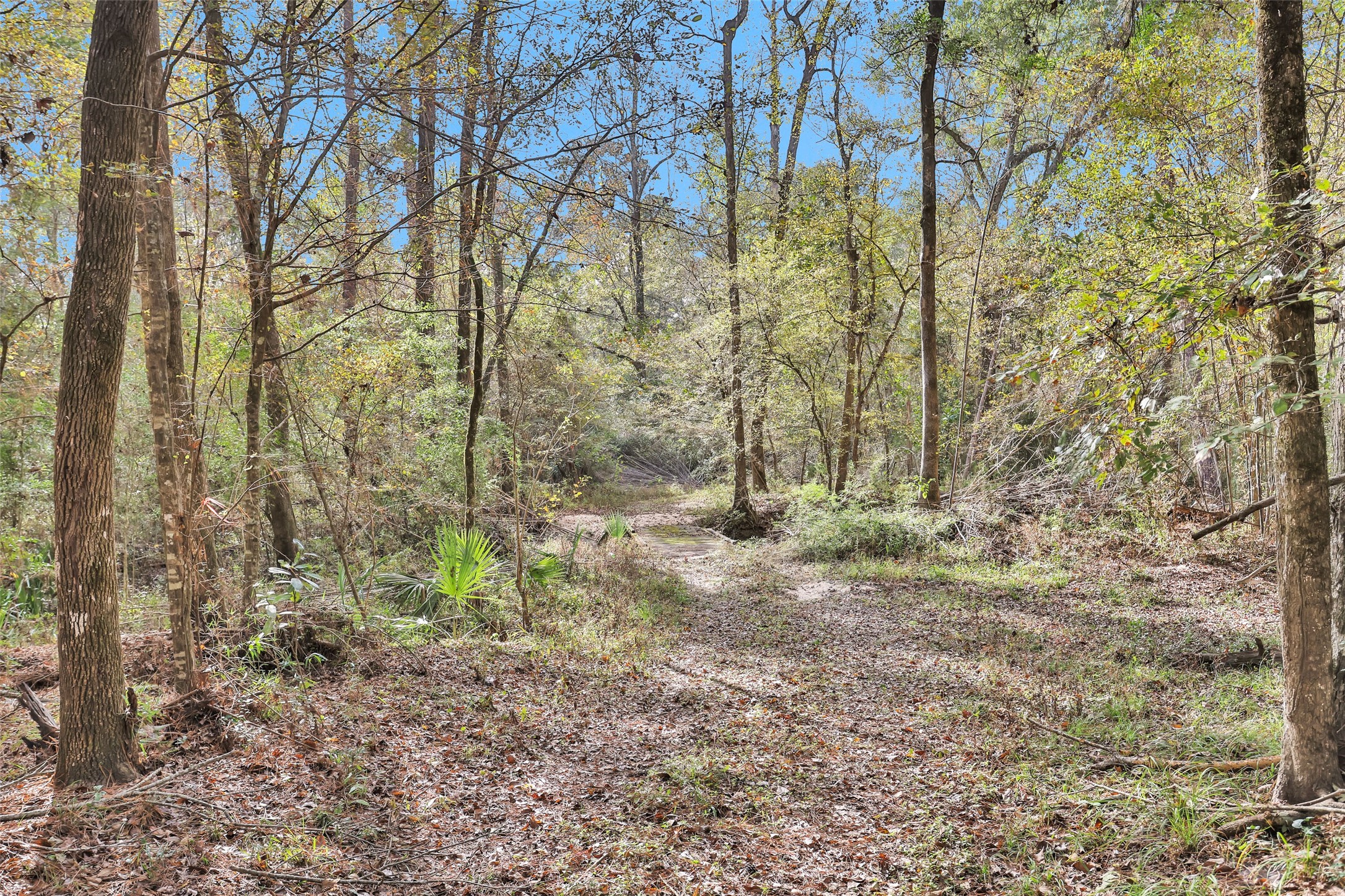 7415 Honea Egypt Property Photo 10