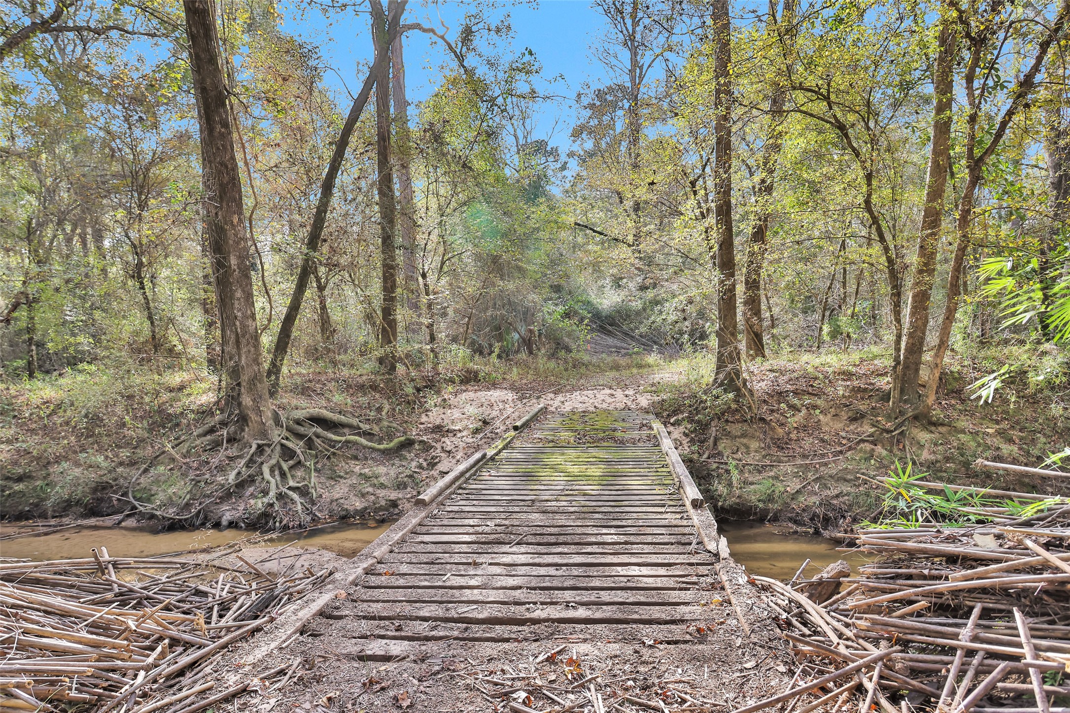 7415 Honea Egypt Property Photo 11