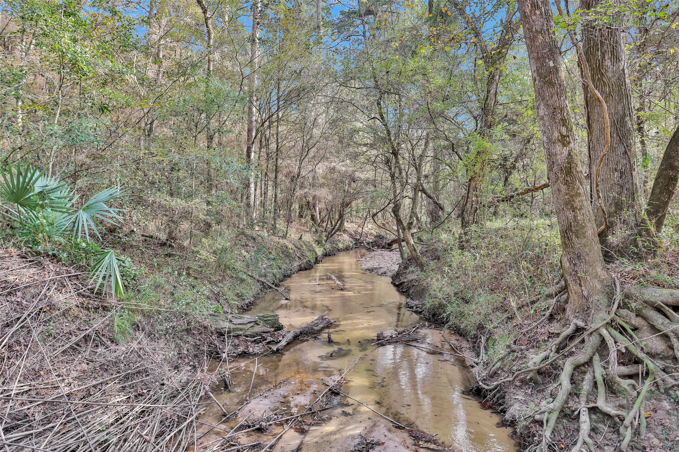 7415 Honea Egypt Property Photo 13