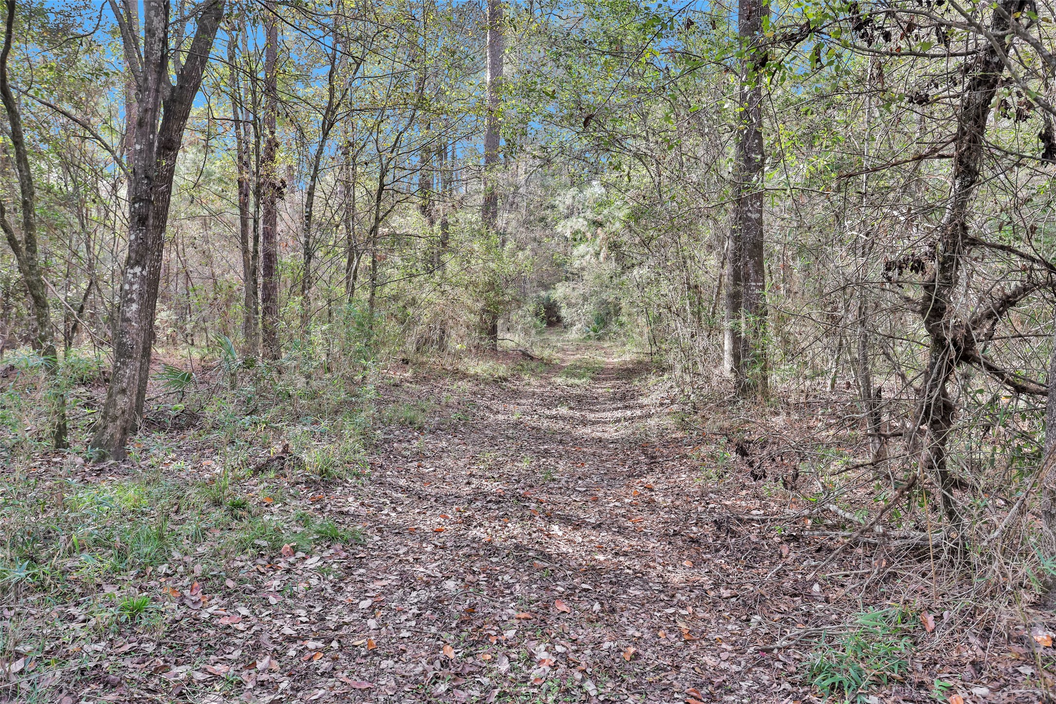 7415 Honea Egypt Property Photo 15