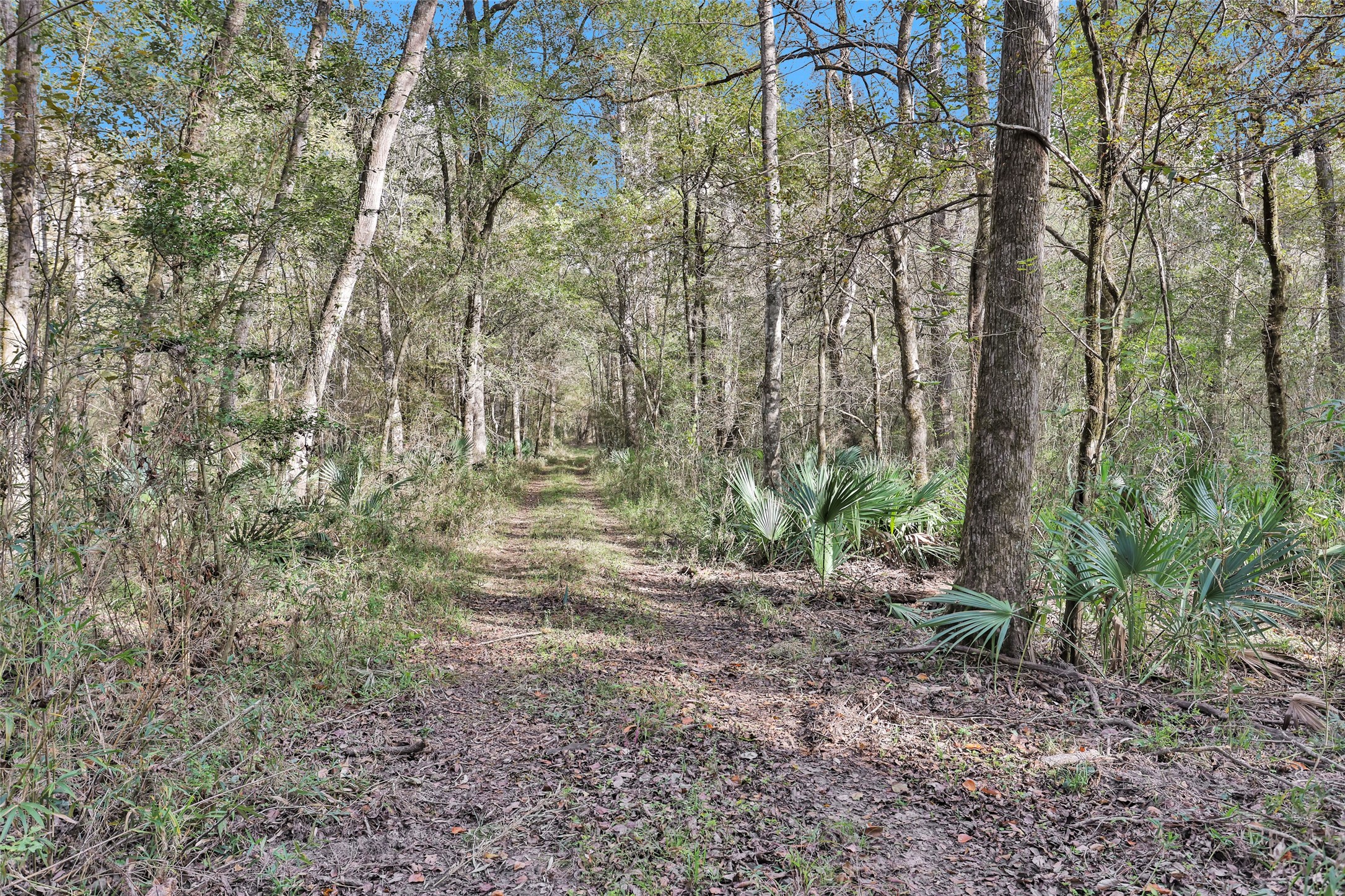 7415 Honea Egypt Property Photo 16