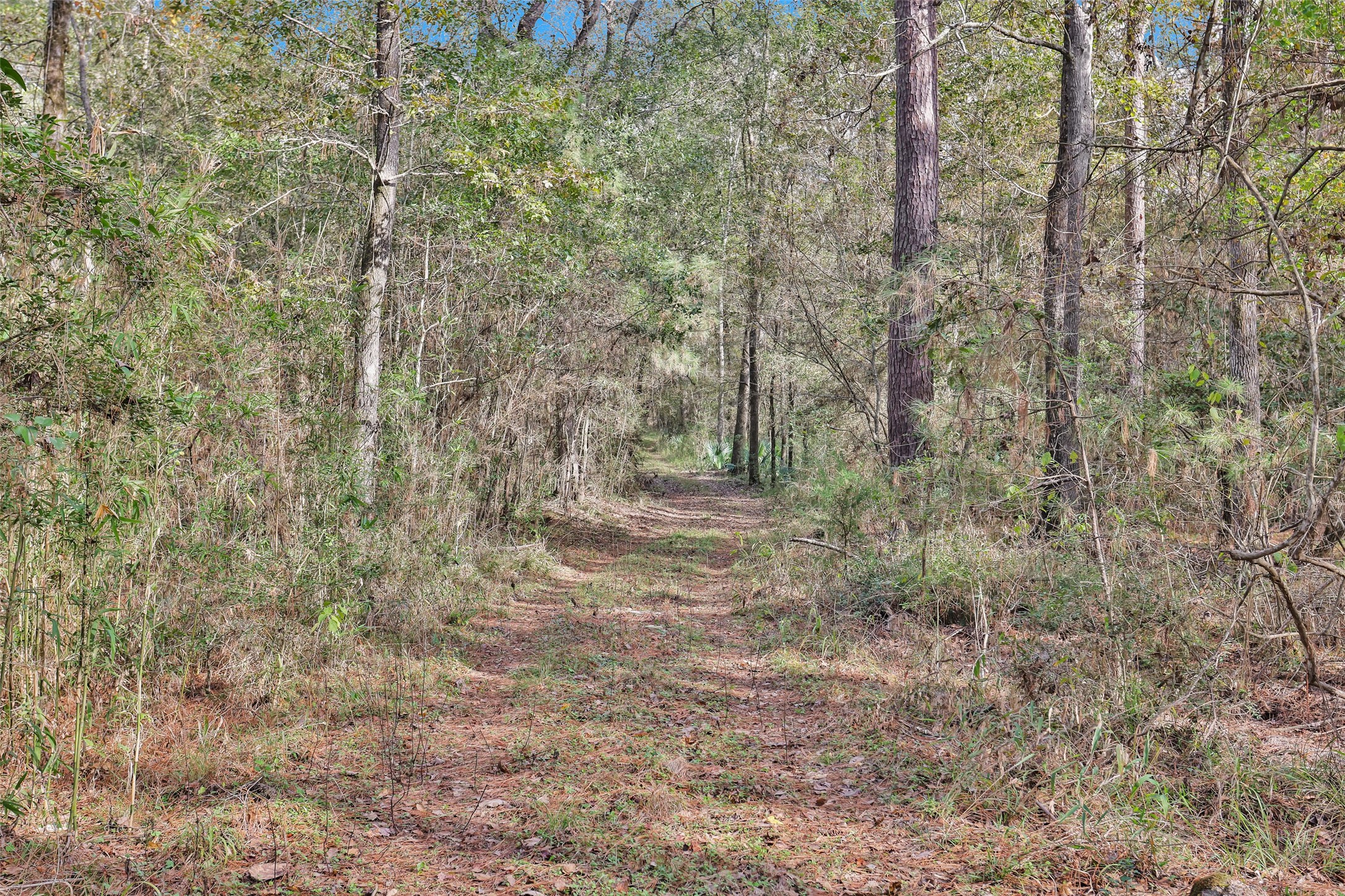 7415 Honea Egypt Property Photo 17