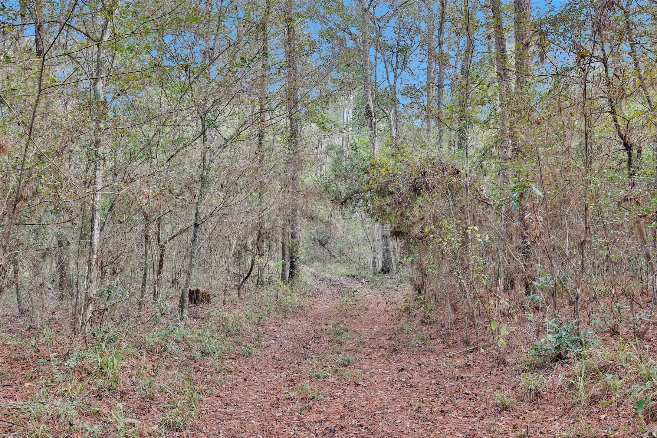 7415 Honea Egypt Property Photo 18