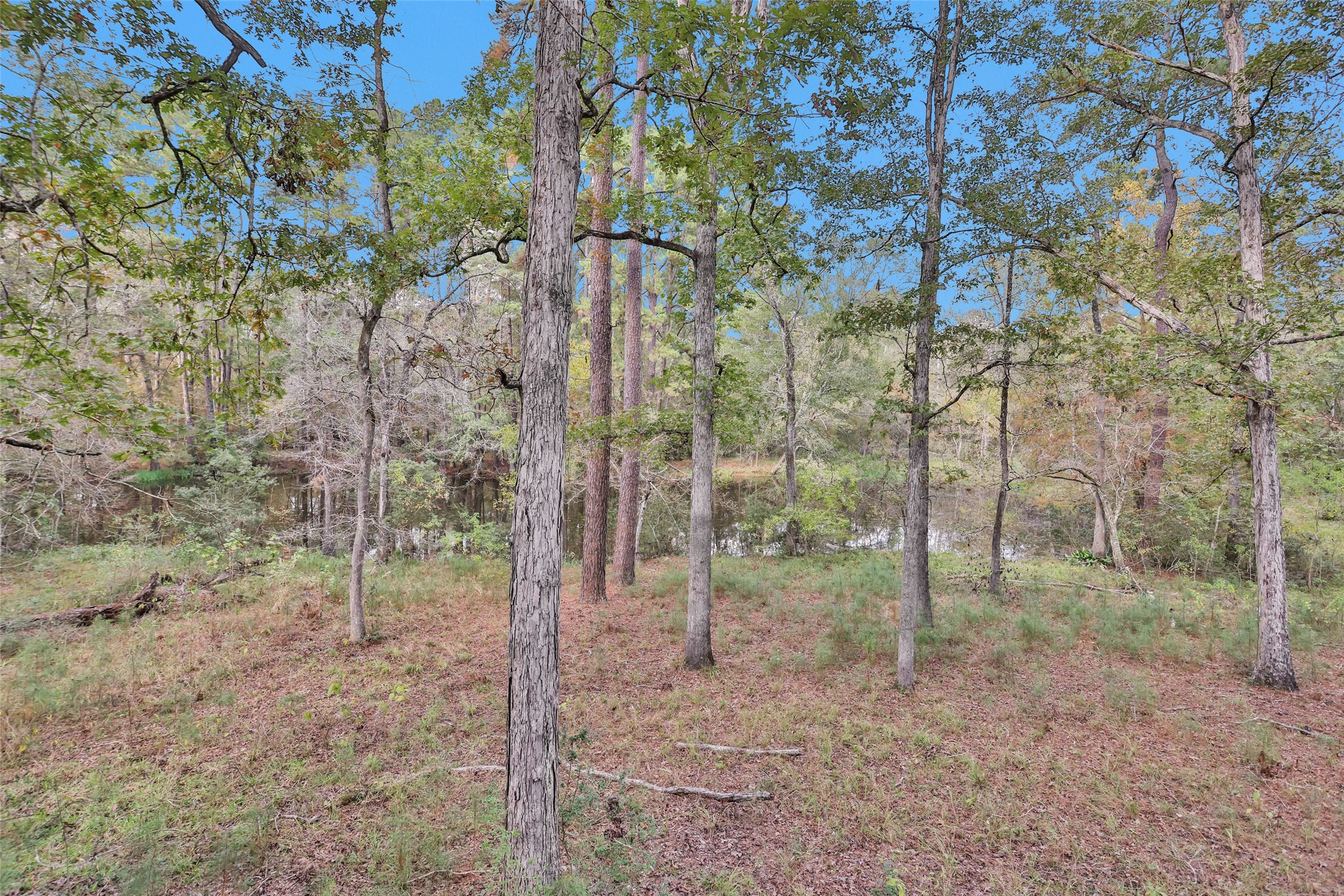 7415 Honea Egypt Property Photo 30