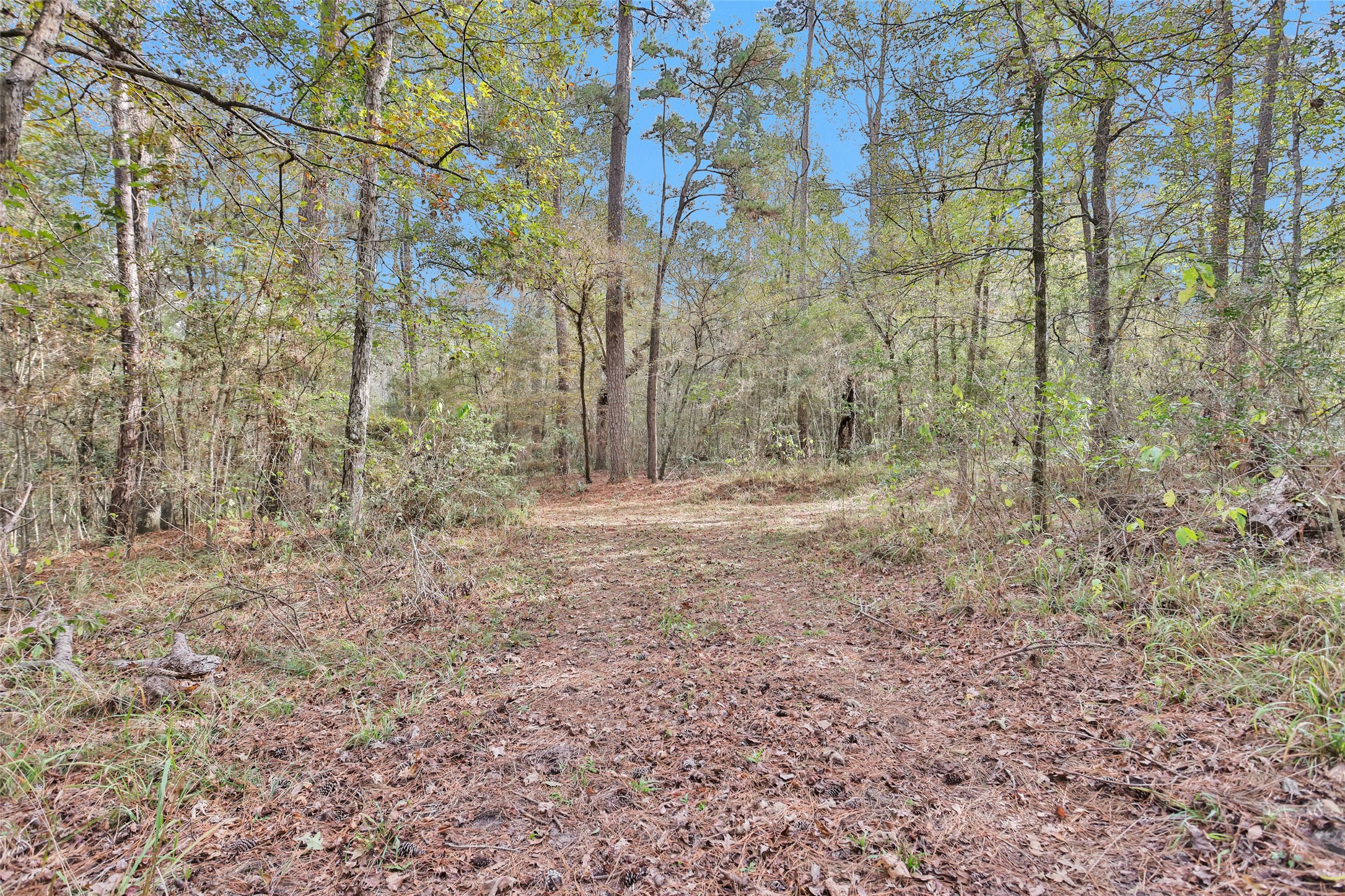 7415 Honea Egypt Property Photo 42