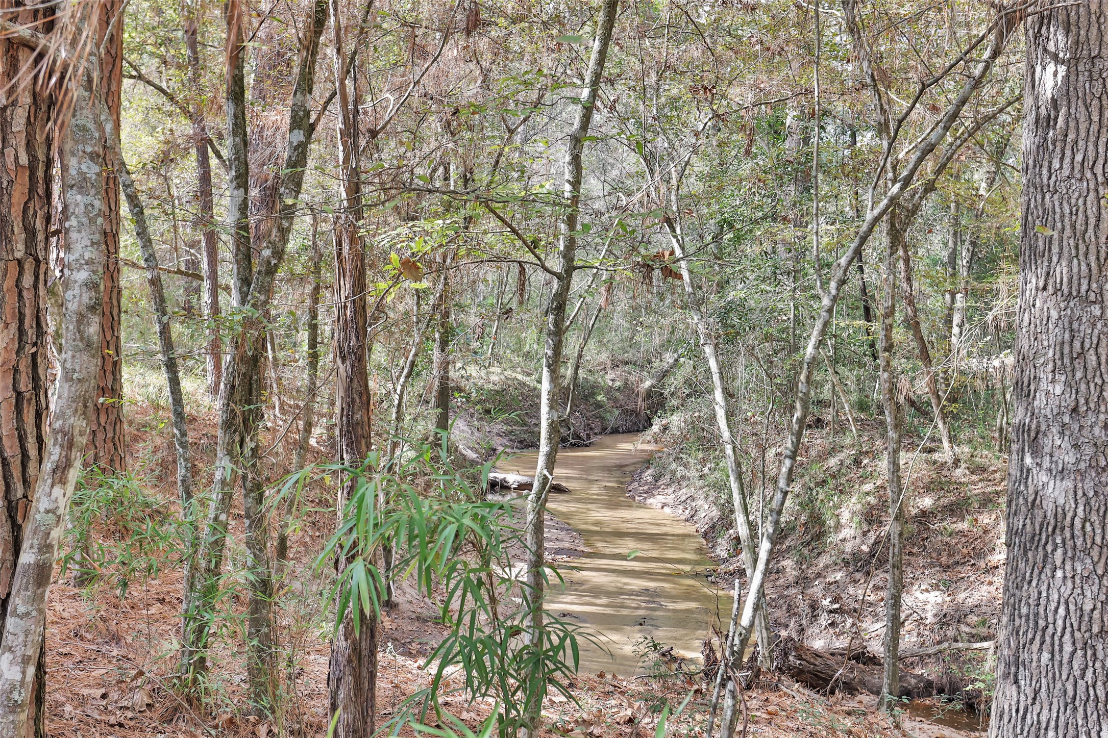 7415 Honea Egypt Property Photo 43