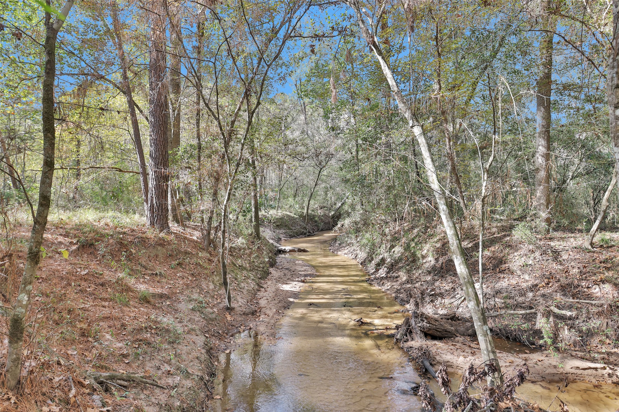 7415 Honea Egypt Property Photo 44