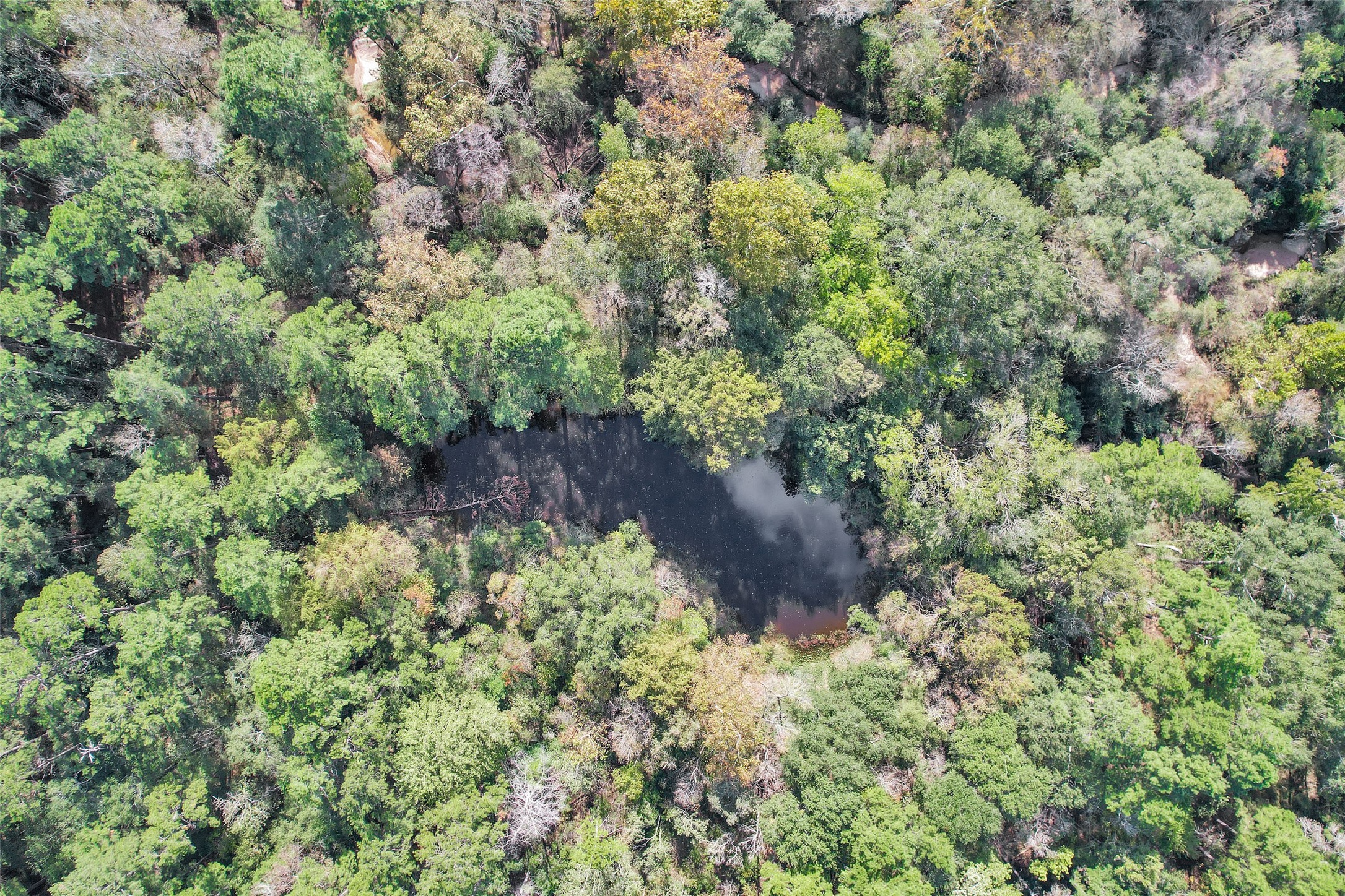 7415 Honea Egypt Property Photo 46