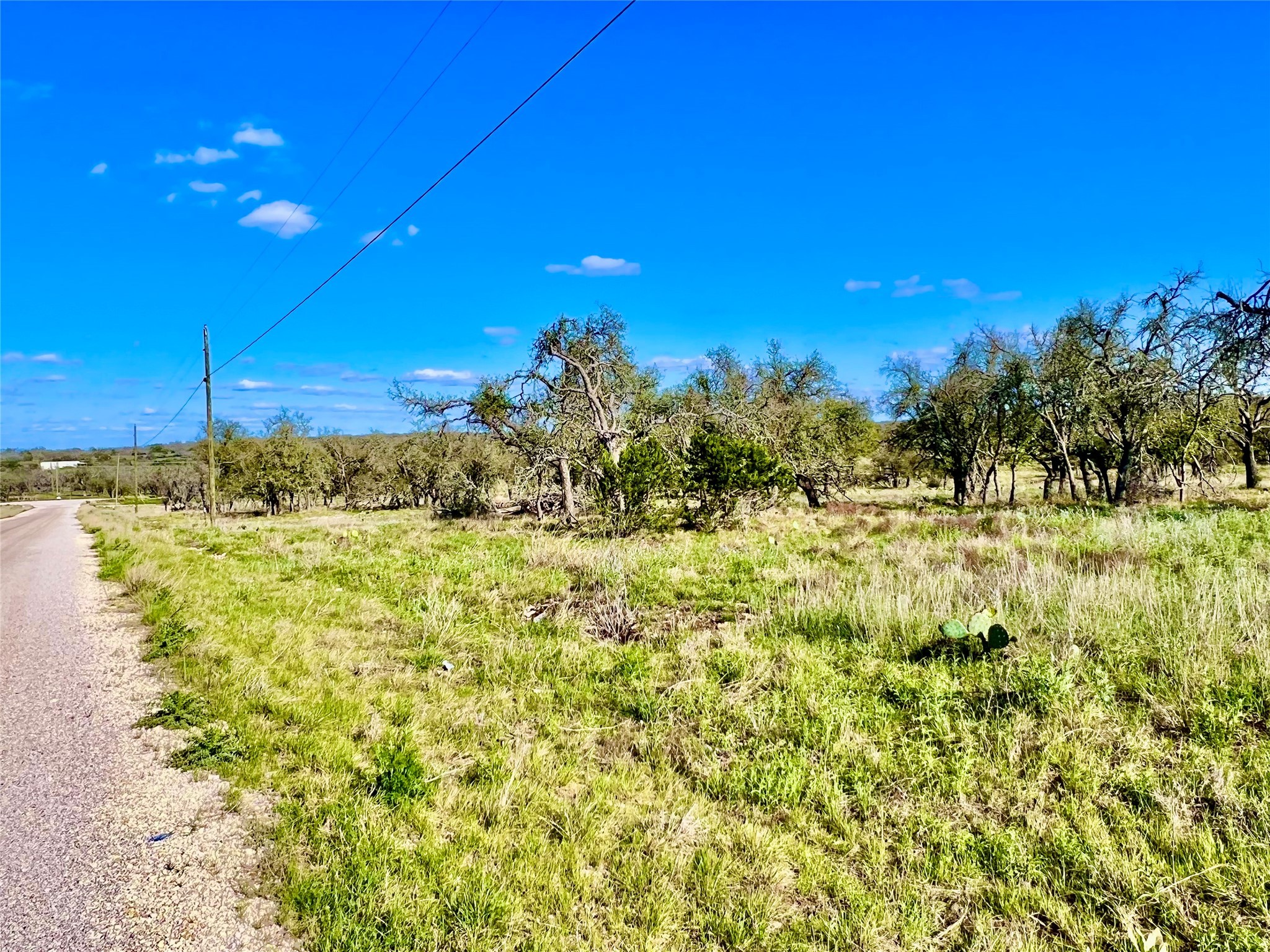 Tbd Nott Branch Road Property Photo 7