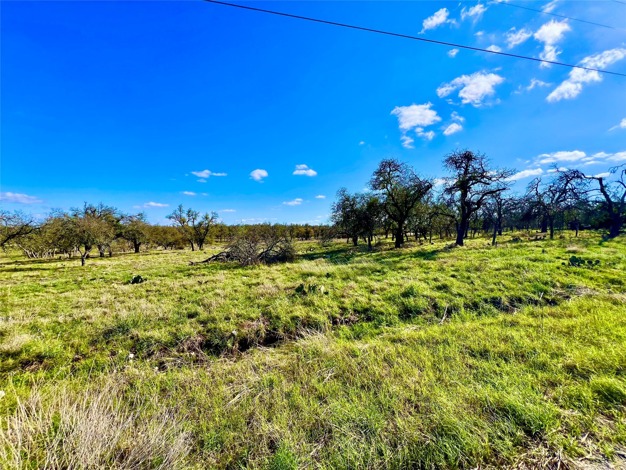 Tbd Nott Branch Road Property Photo 9