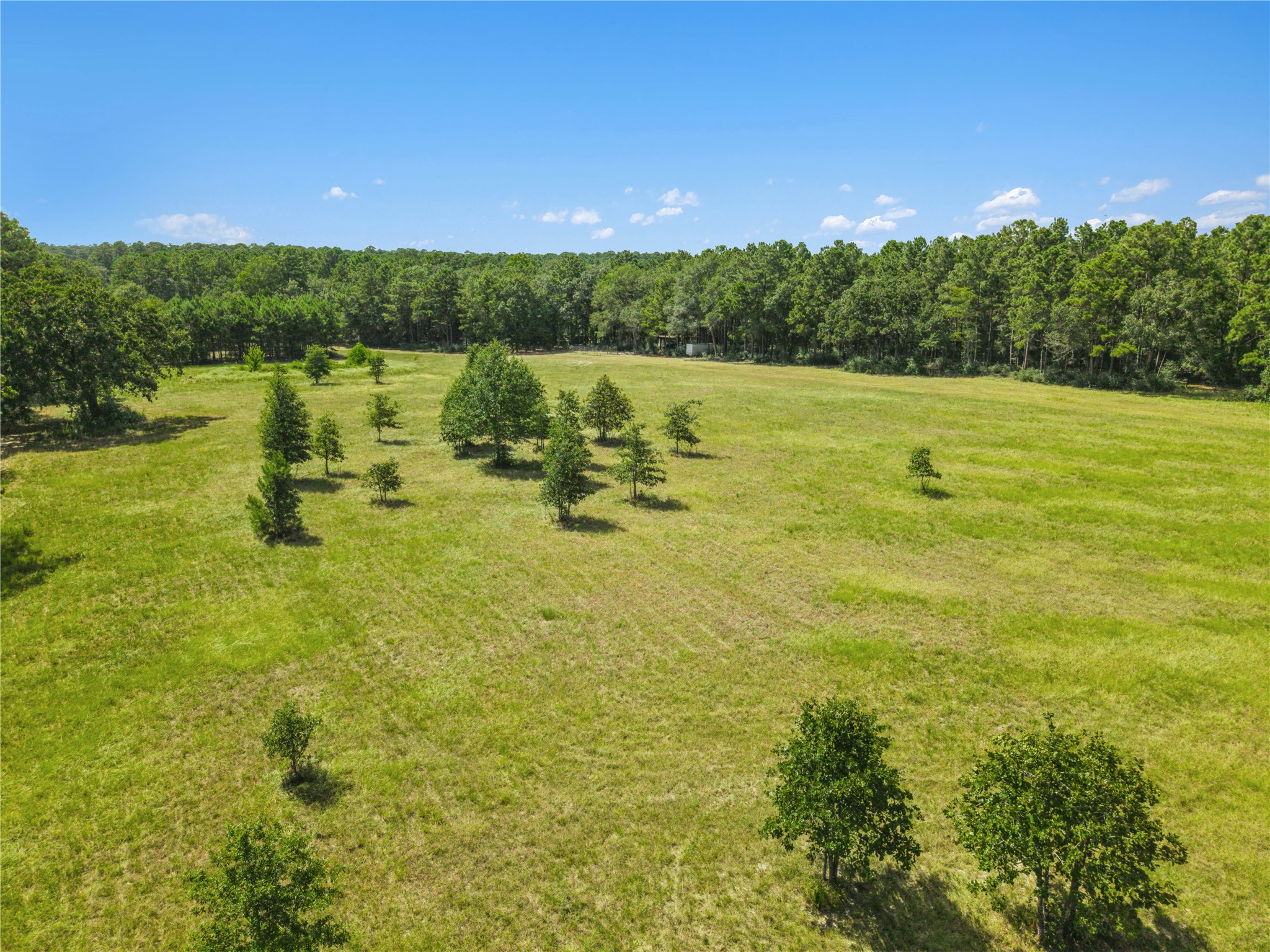 18957 Bethel Rd Property Photo 9