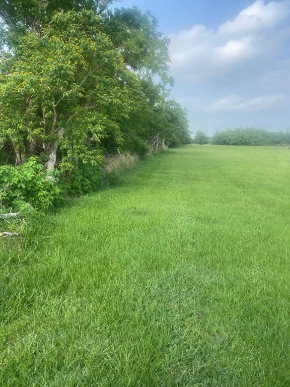 457 Sargent Drive Property Photo 5