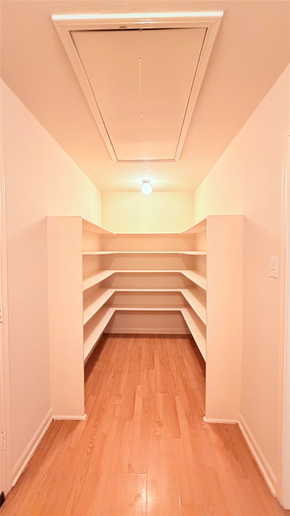 17314 Glenmorris Drive Property Photo 19